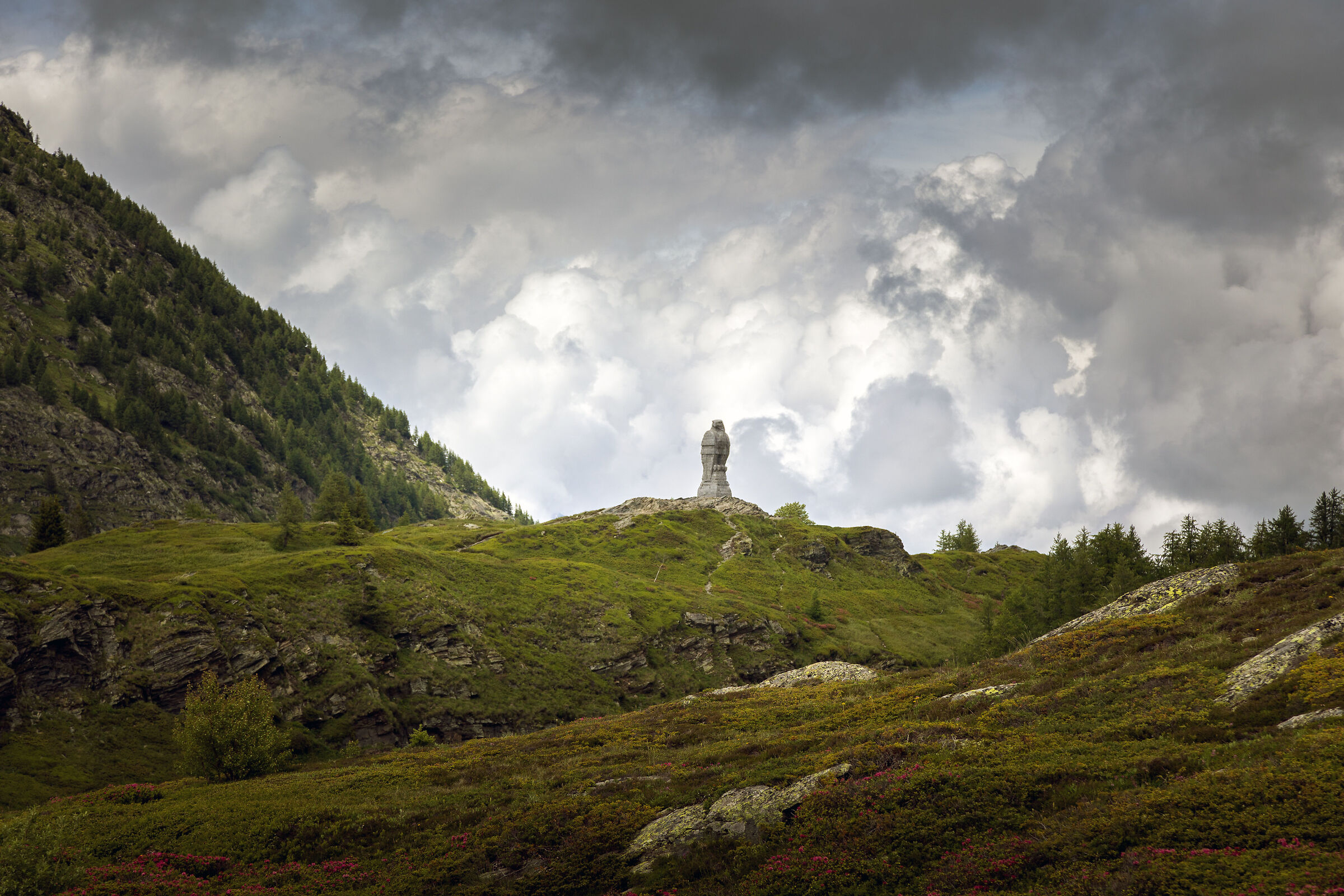 Aquila del passo del Sempione