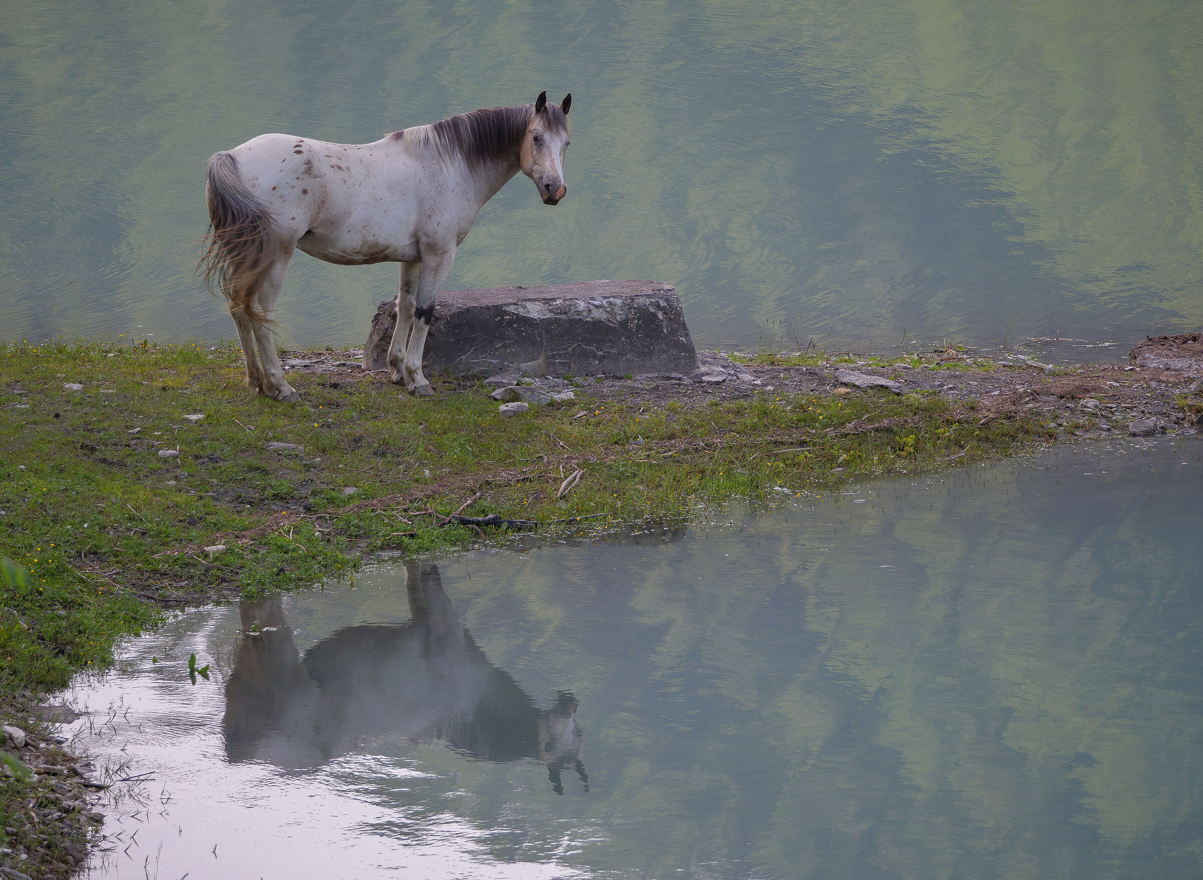 On holiday at the lake.
