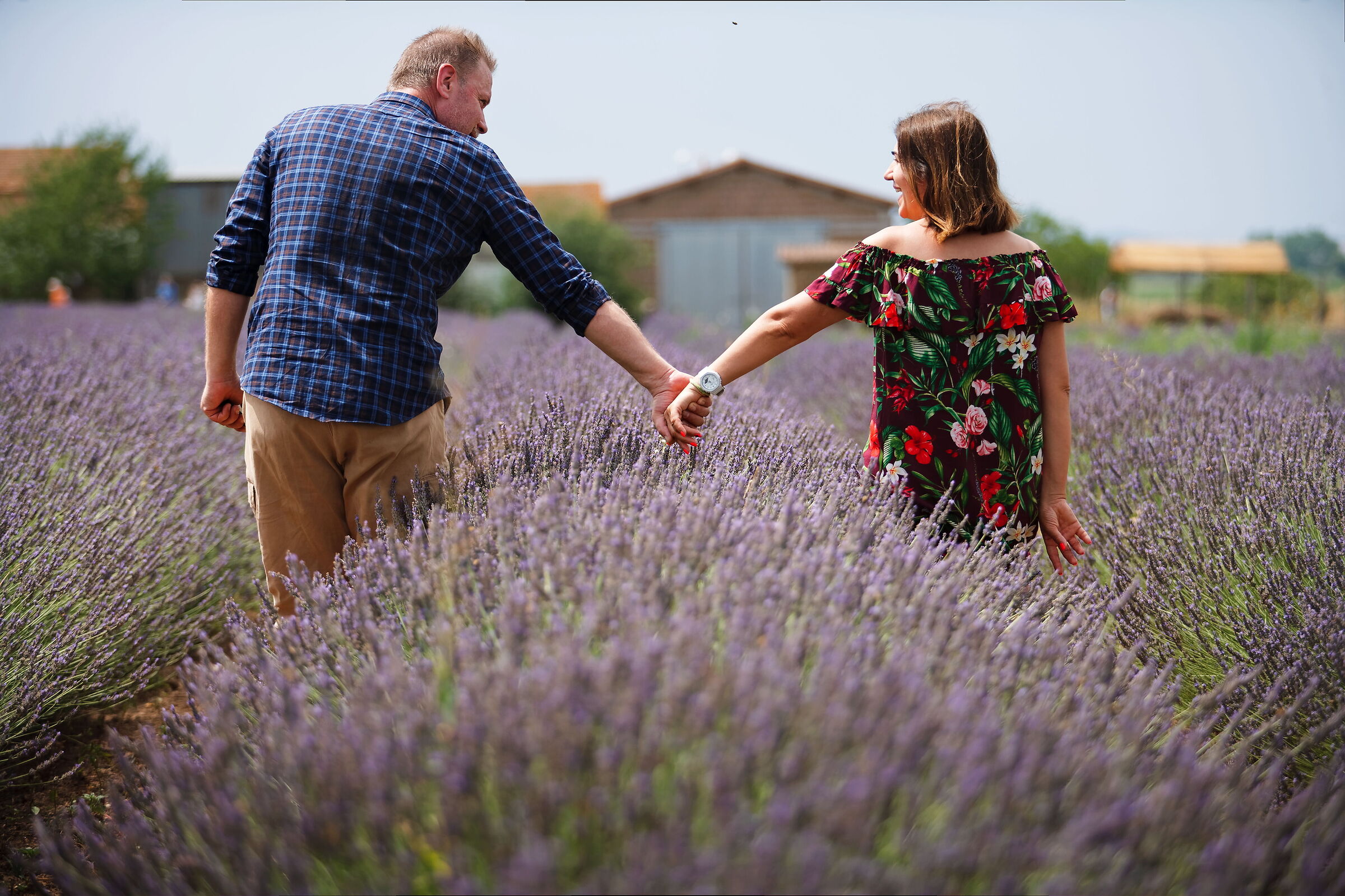 Sole e profumo di lavanda