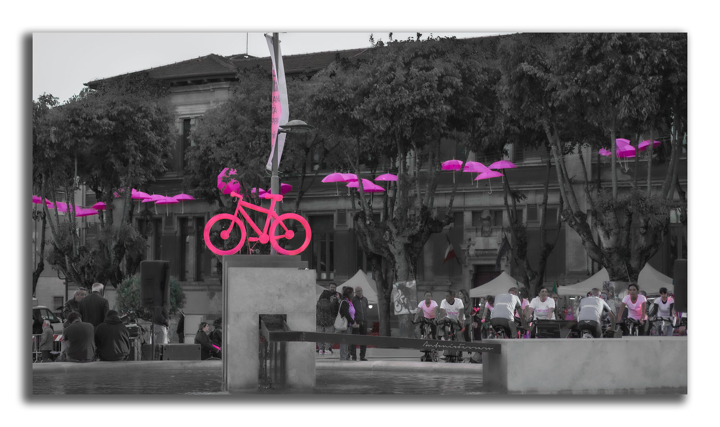Giro d'Italia 2024