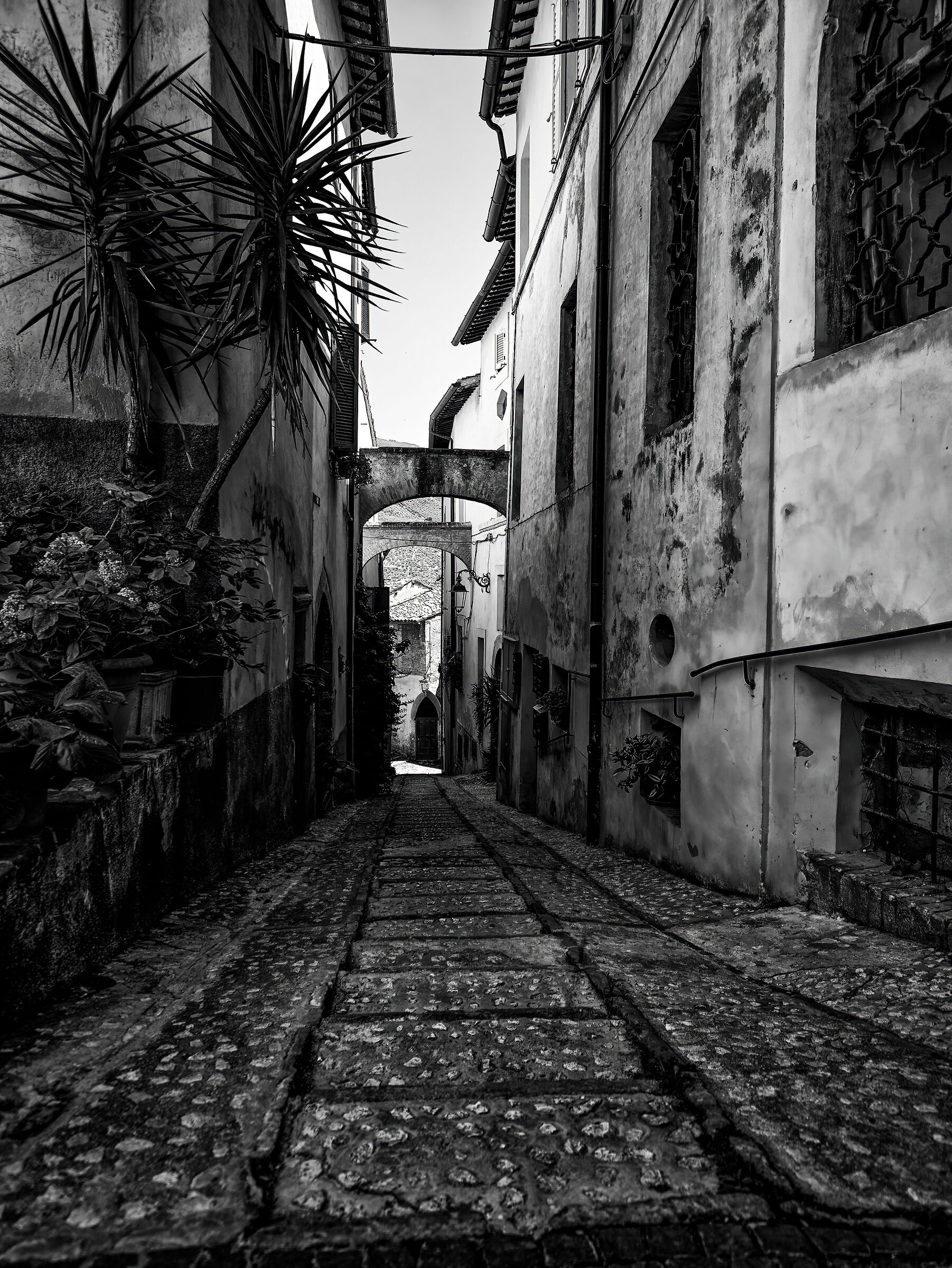 Alleys of Trevi