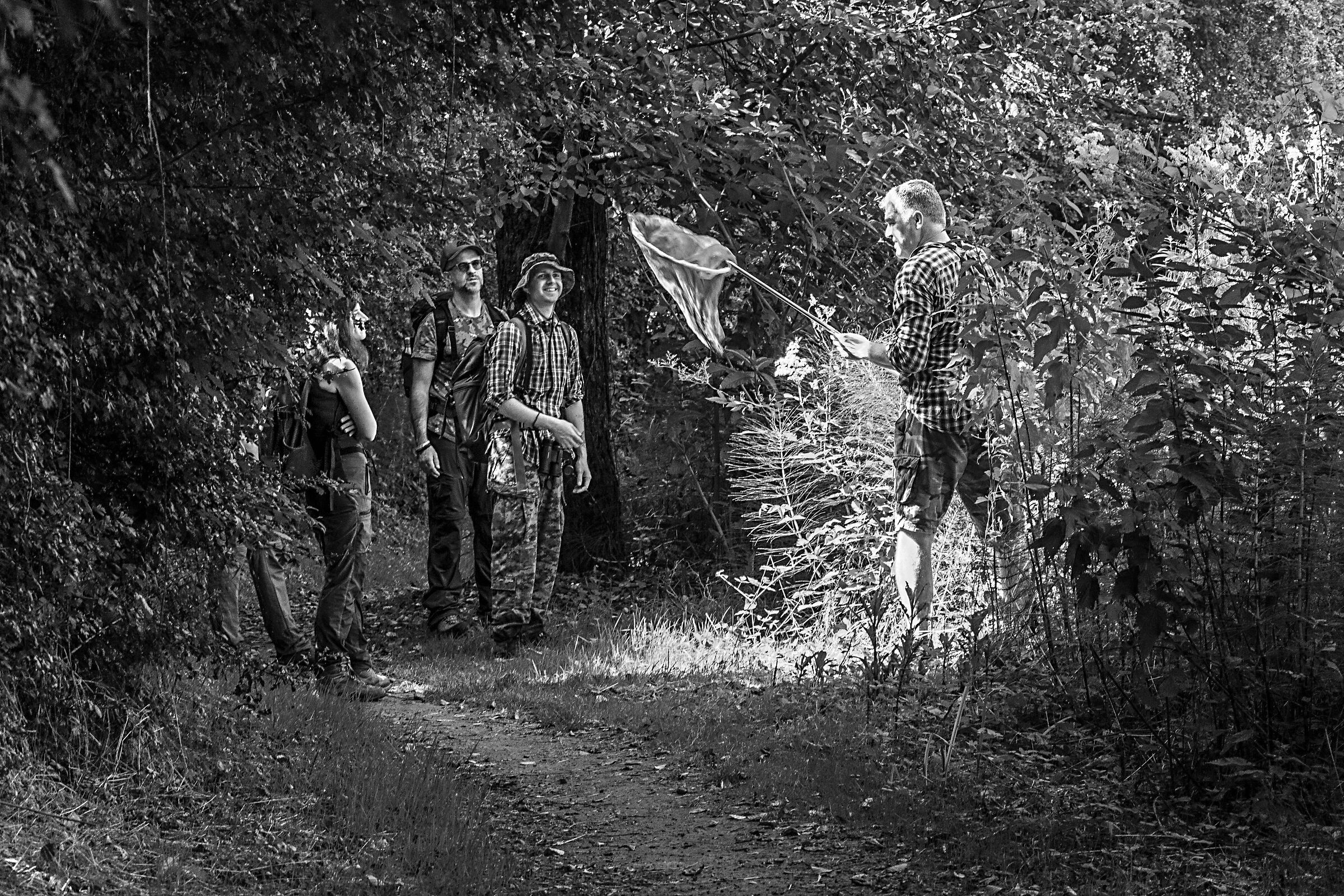 a caccia di farfalle