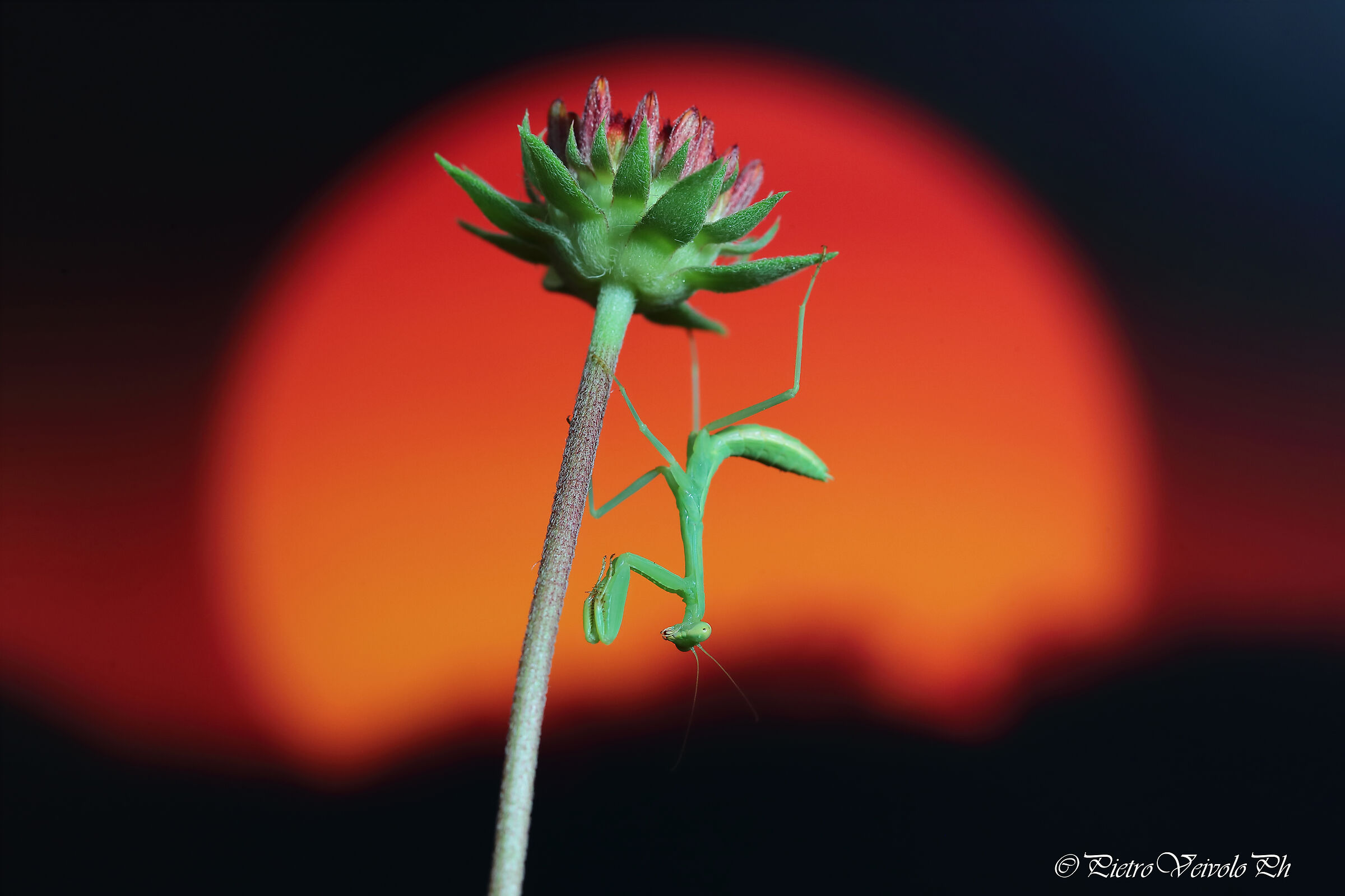 When the sun goes to sleep...