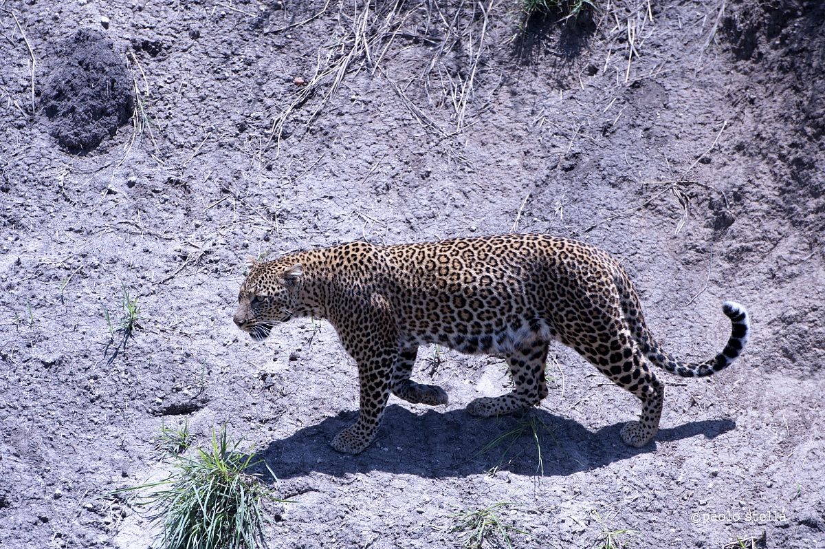 sulla sponda del fiume