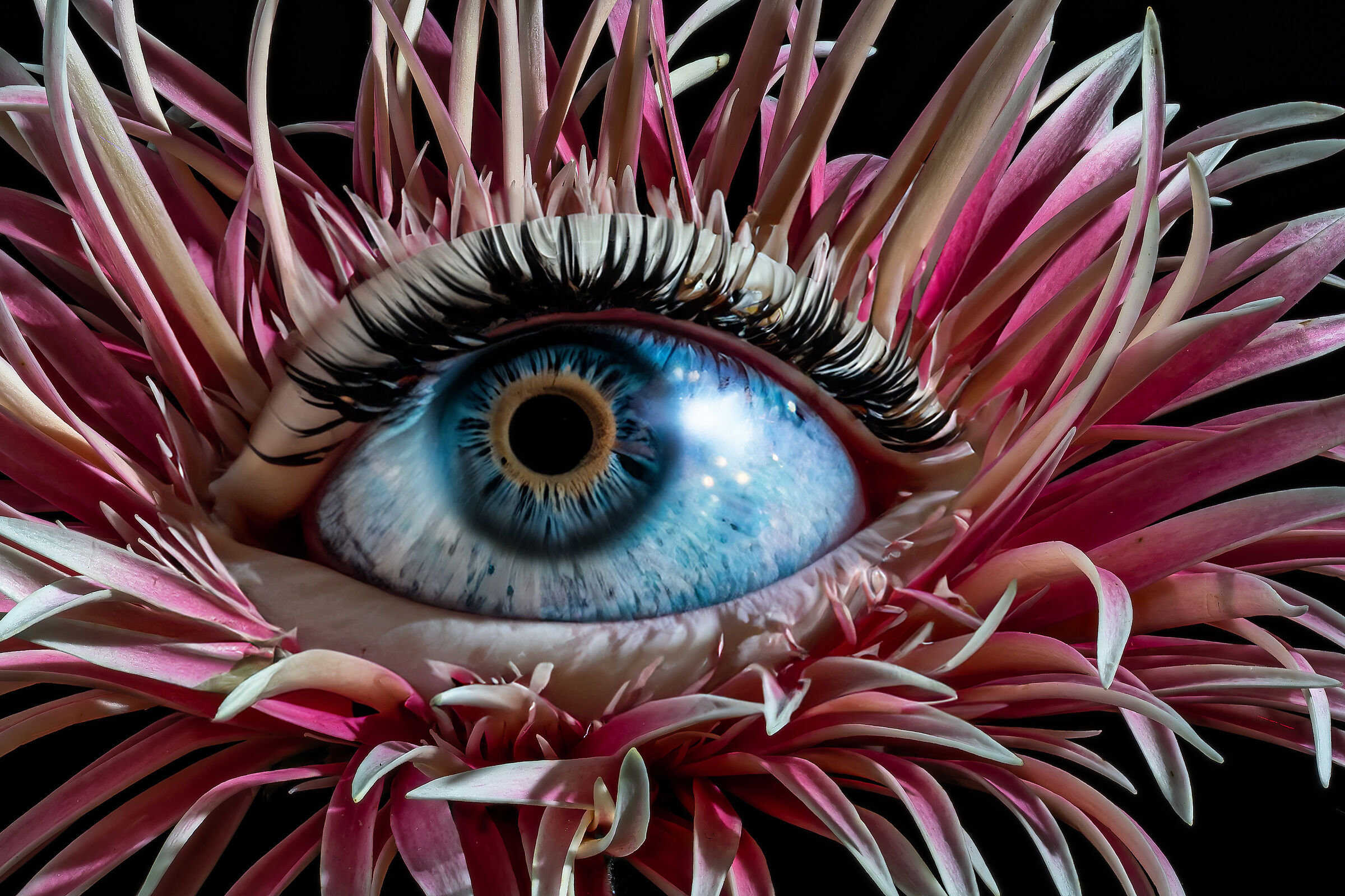 Combinazione tra Foto (fiore) e lavoro AI (occhio)