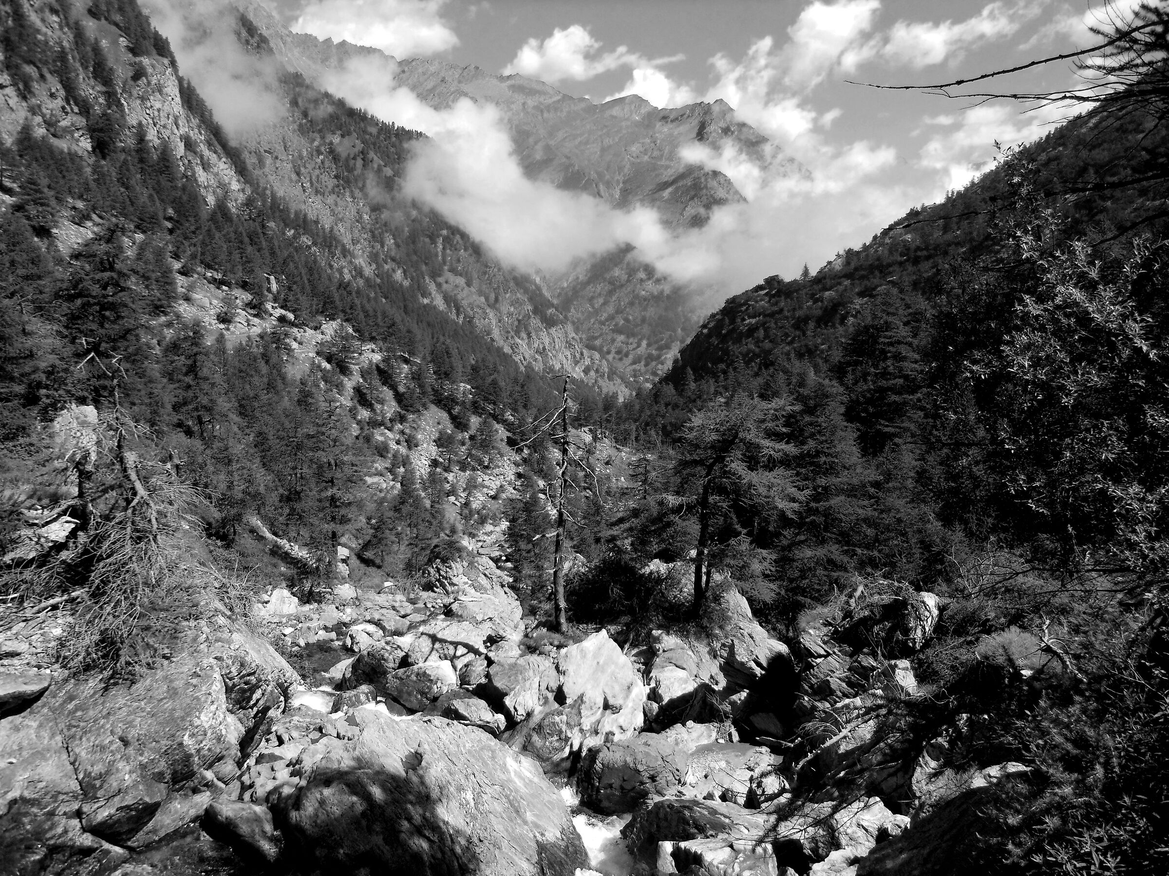 Yosemite National Park?