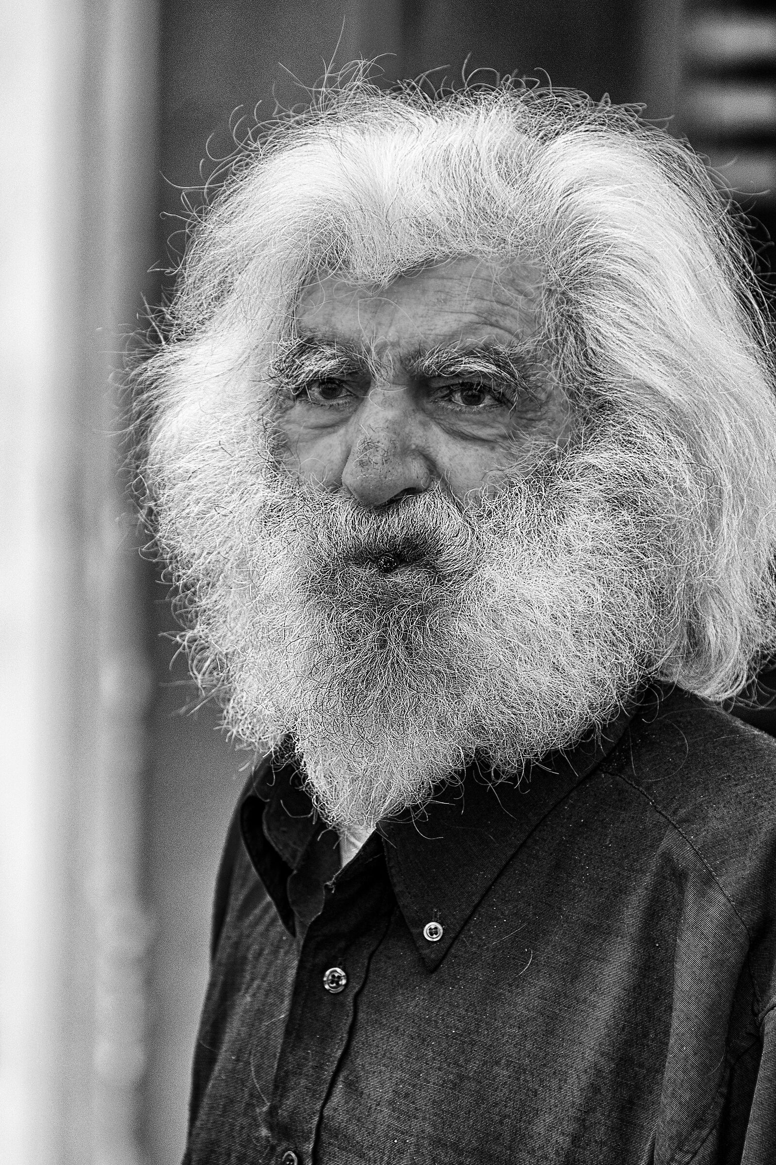Il Leone