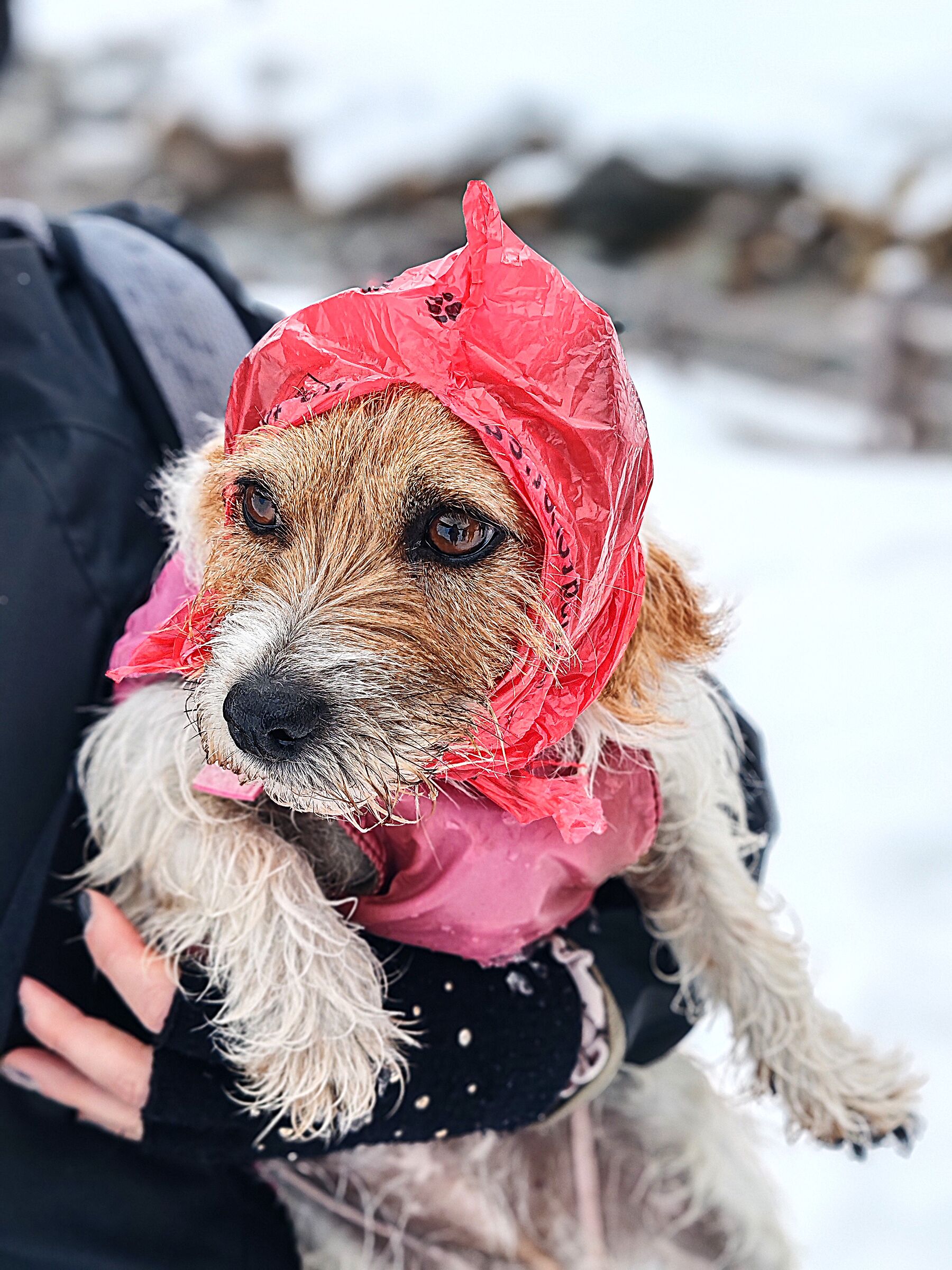 Pretty and adorable Camilla.