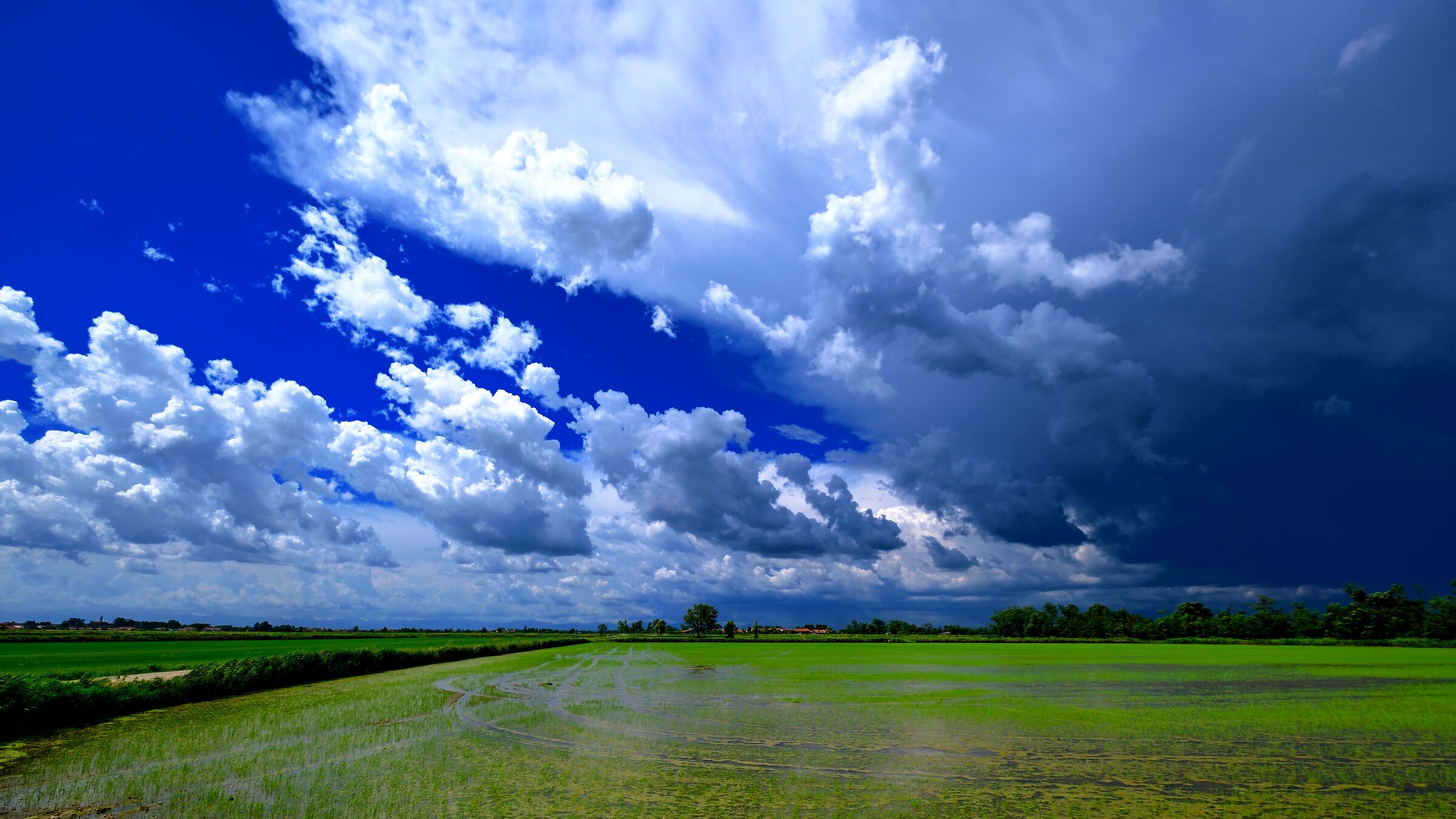 Si salvi chi può!!!!!!!!