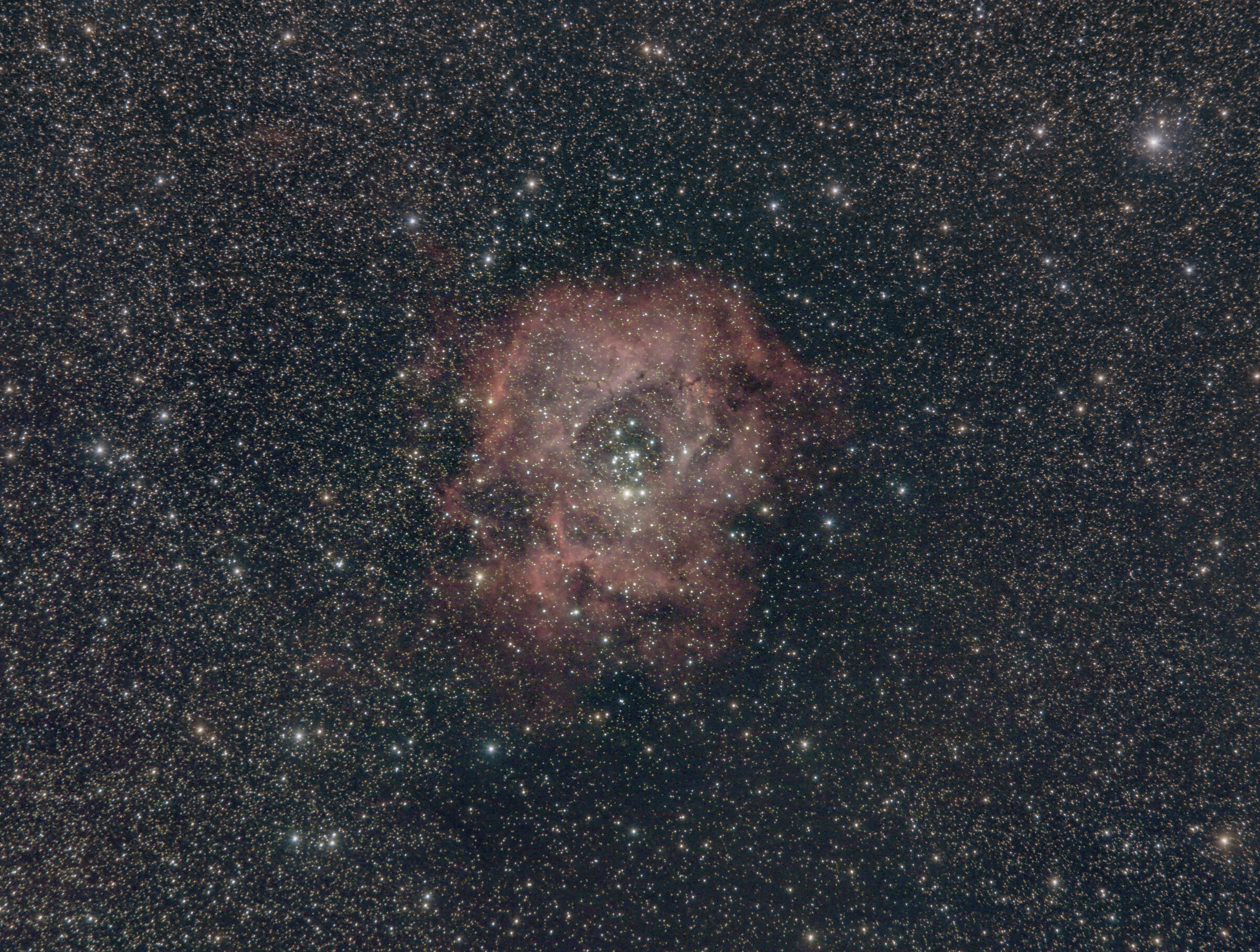 Nebulosa Rosetta