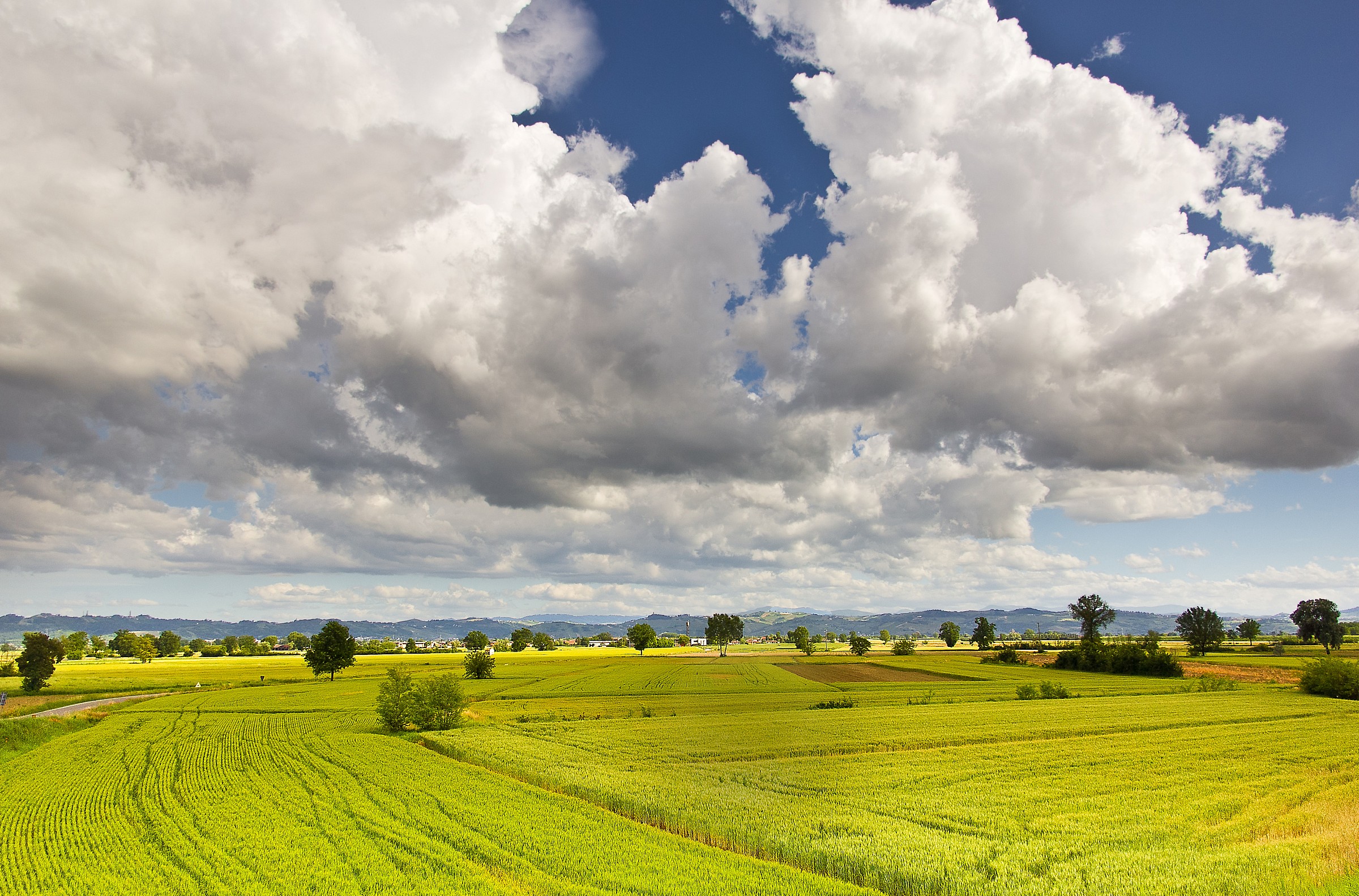 nuvole sui campi di grano