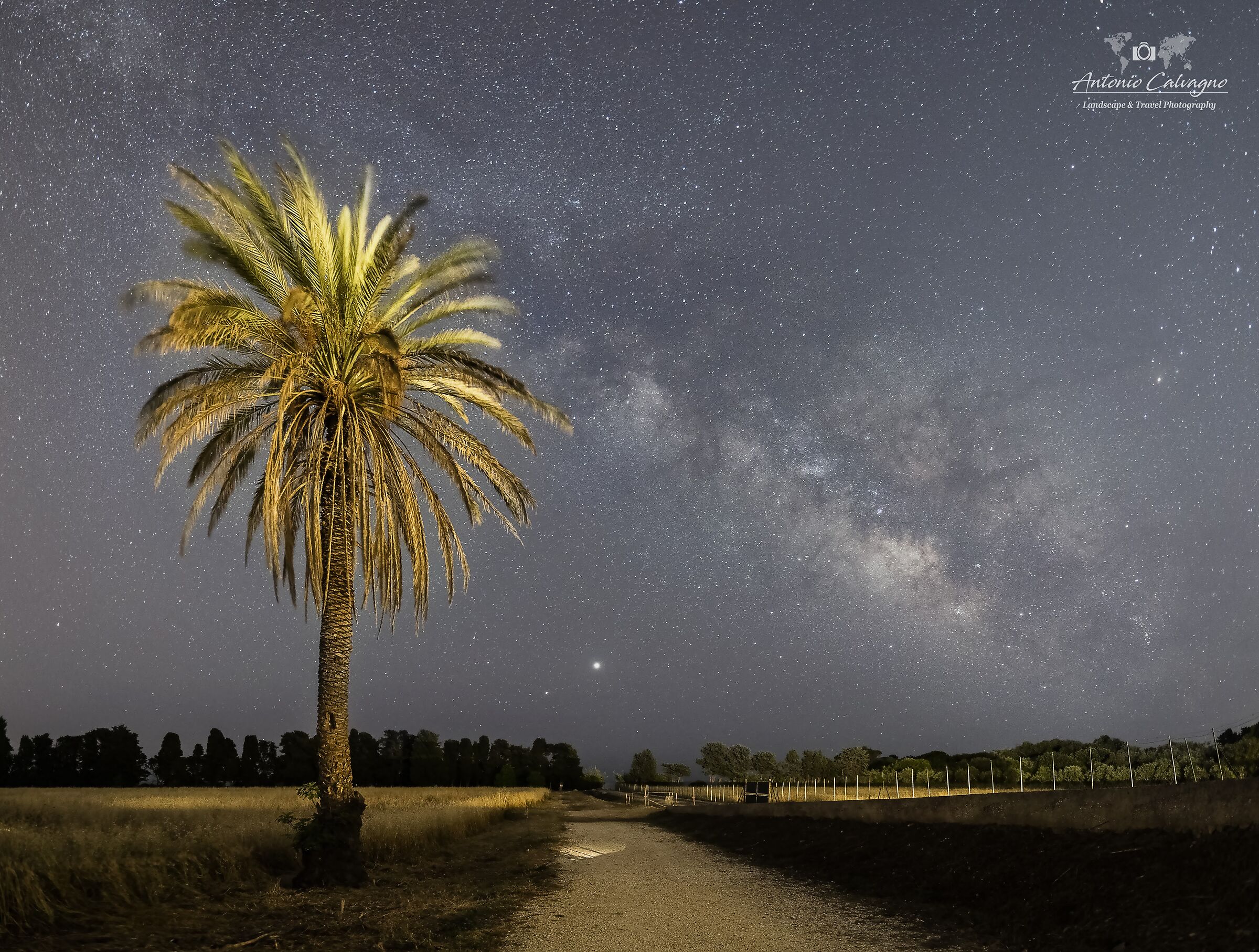 Riserva del Gelsomineto con Via Lattea