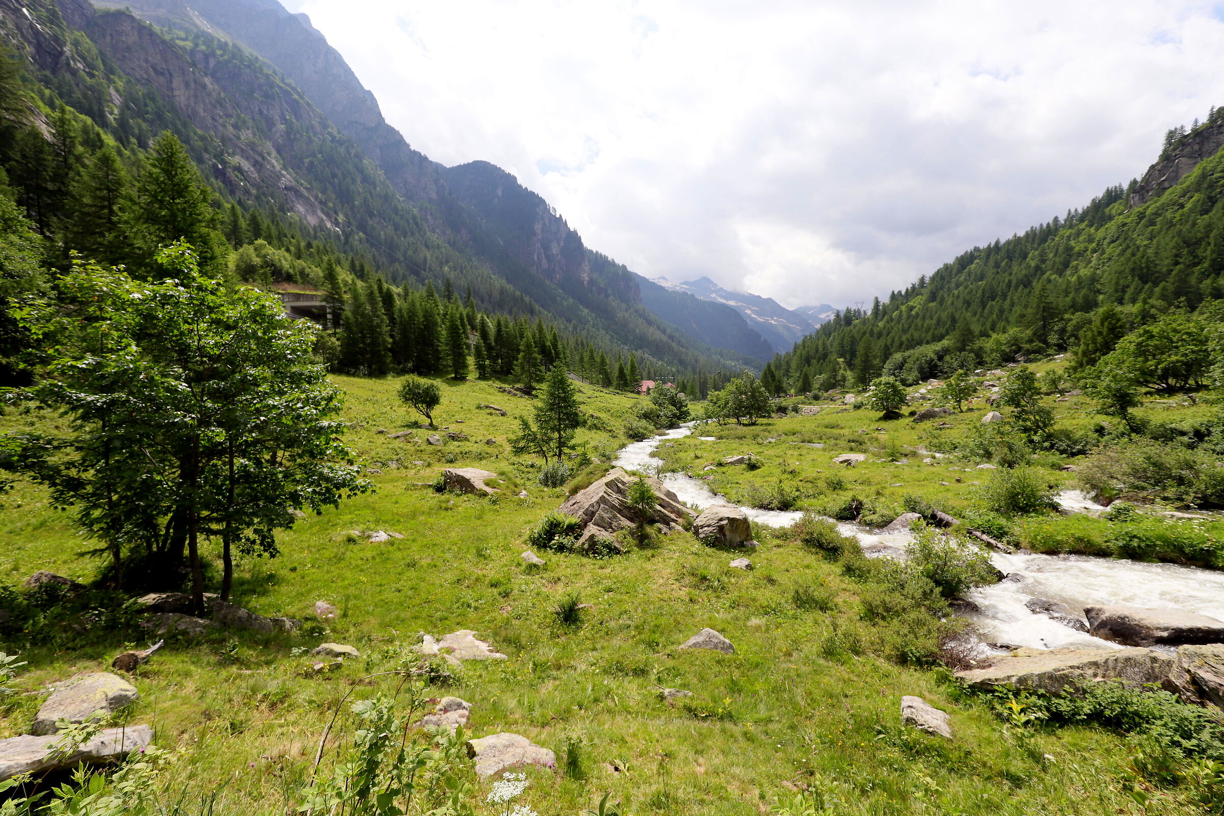 Dopo la cascata del Toce.