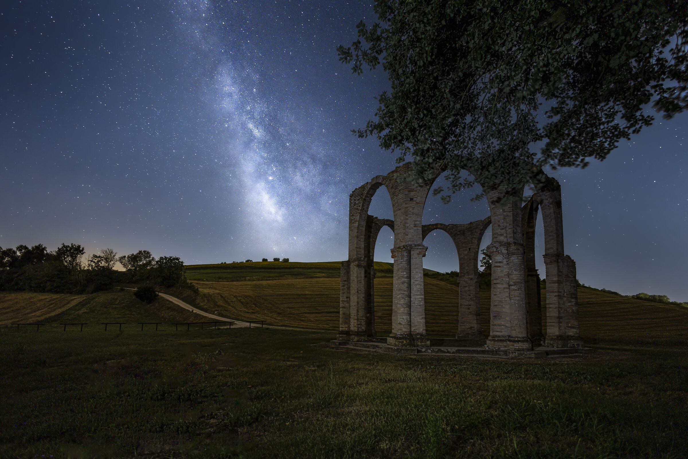 Summer Night