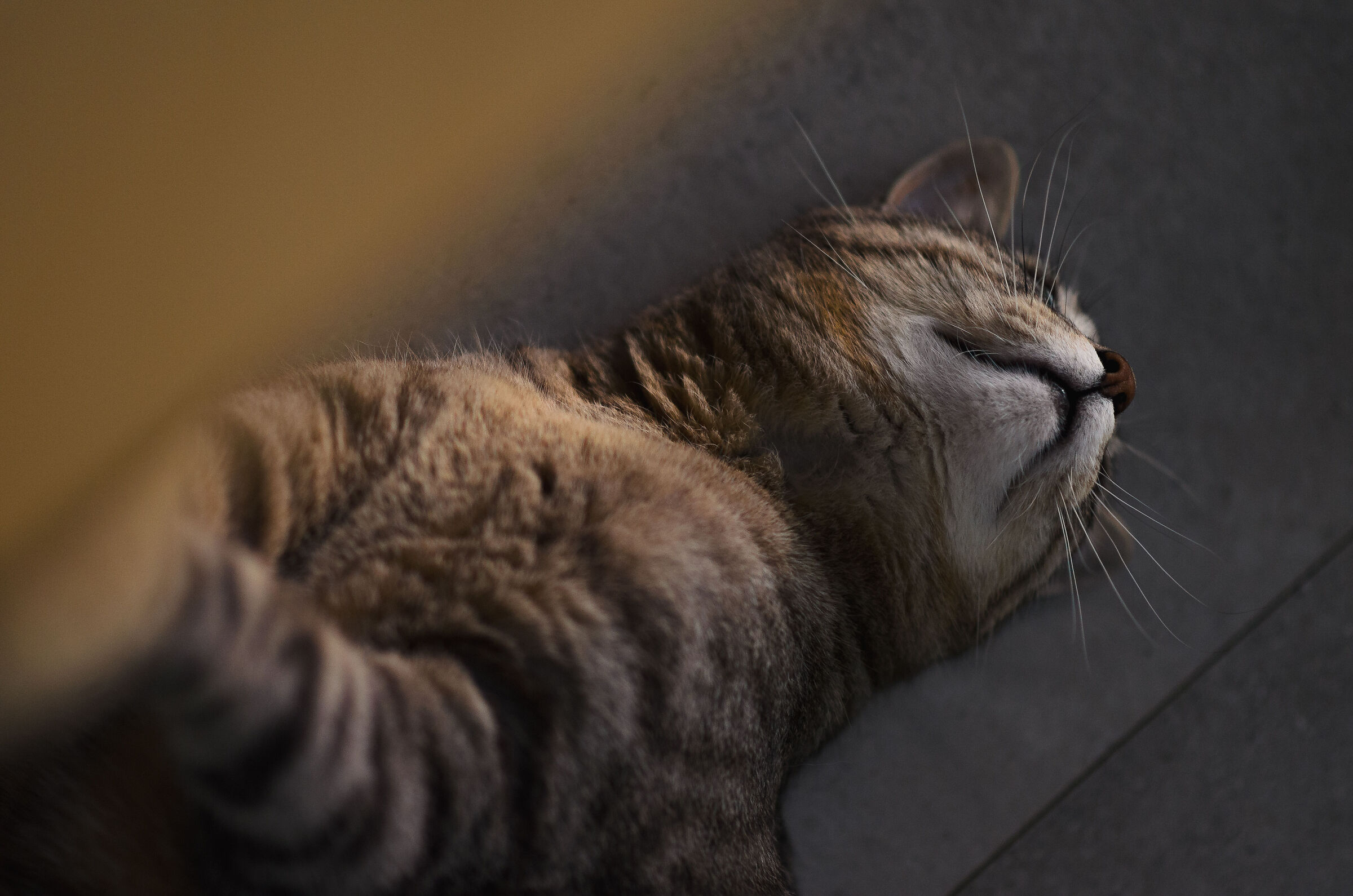 The Fatigue of Existing 1