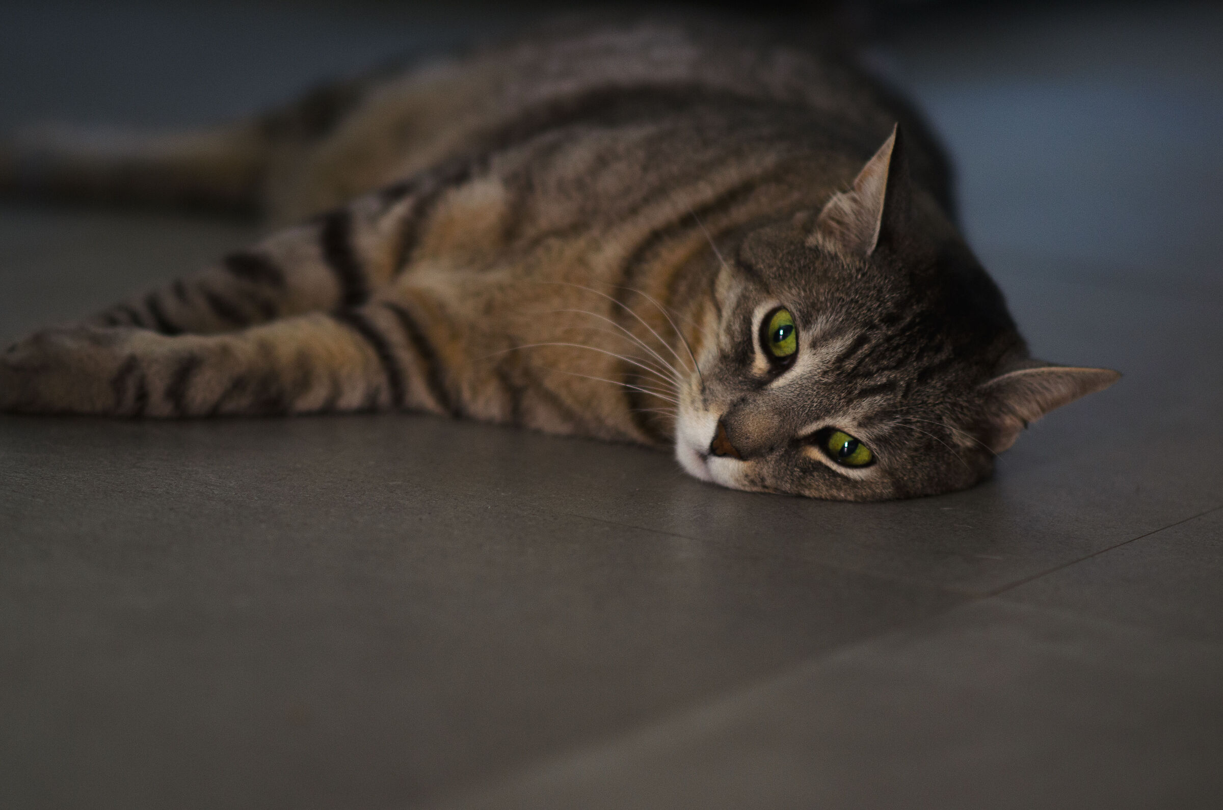 The fatigue of existing 2