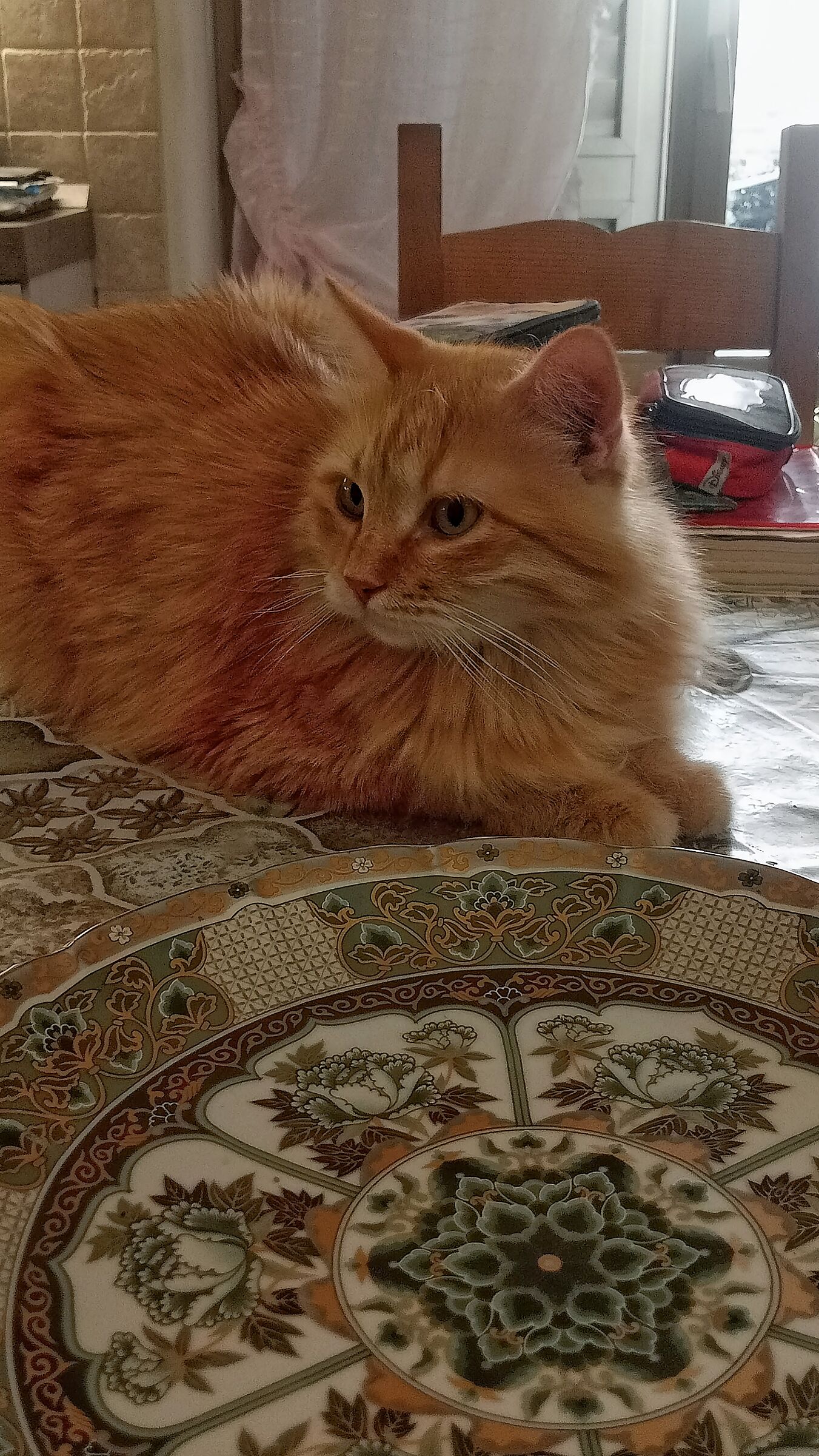 Oliver