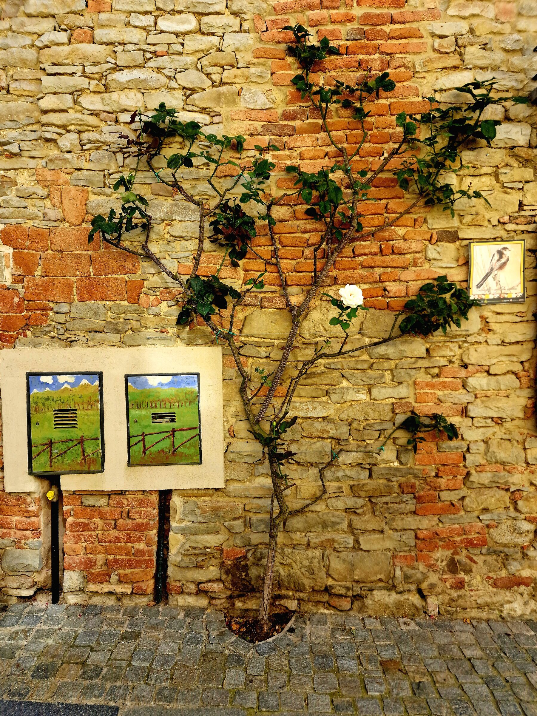 Cartridge case murals