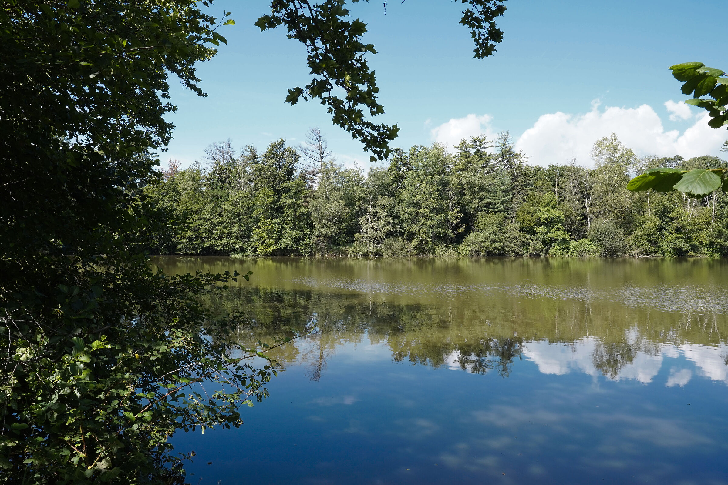 Lake at Cascina Oslera (Parco La Mandria, Venaria