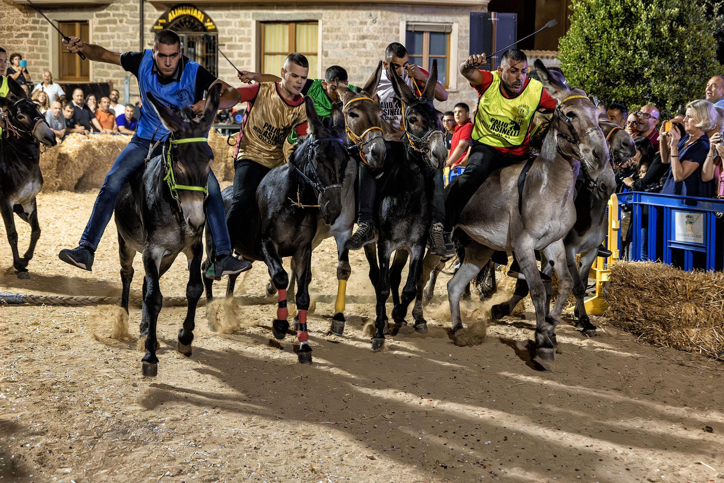 Palio degli asinelli in Ollolai