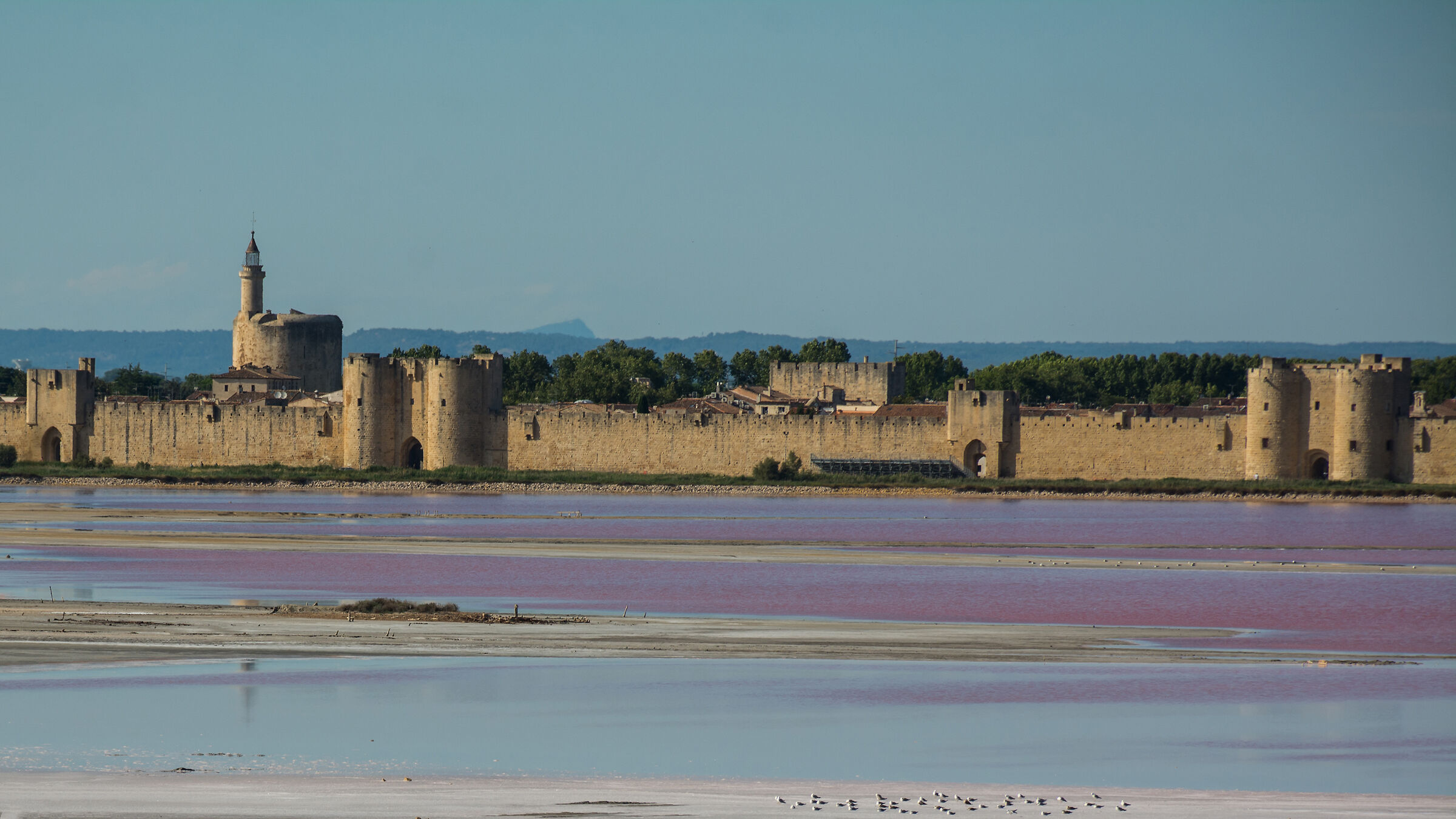 Aigues-Mortes and its salt works