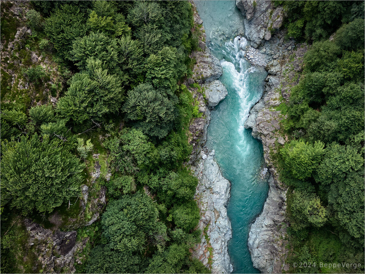 Wild Valsesia