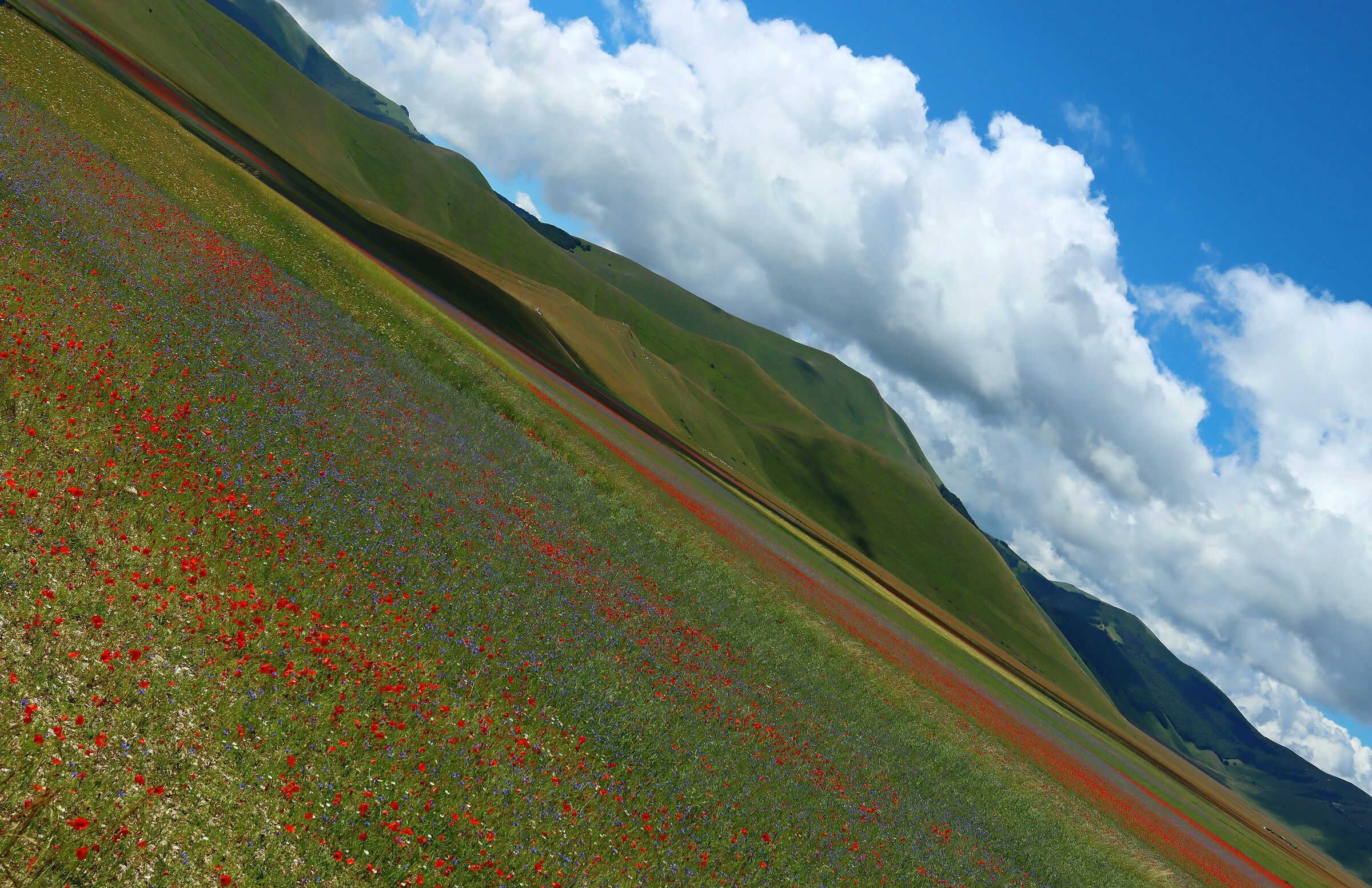 Castelluccio... Bold
