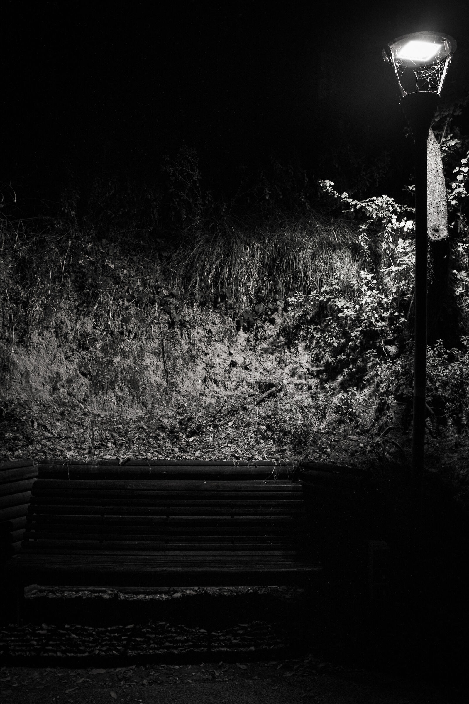 A dark place to rest