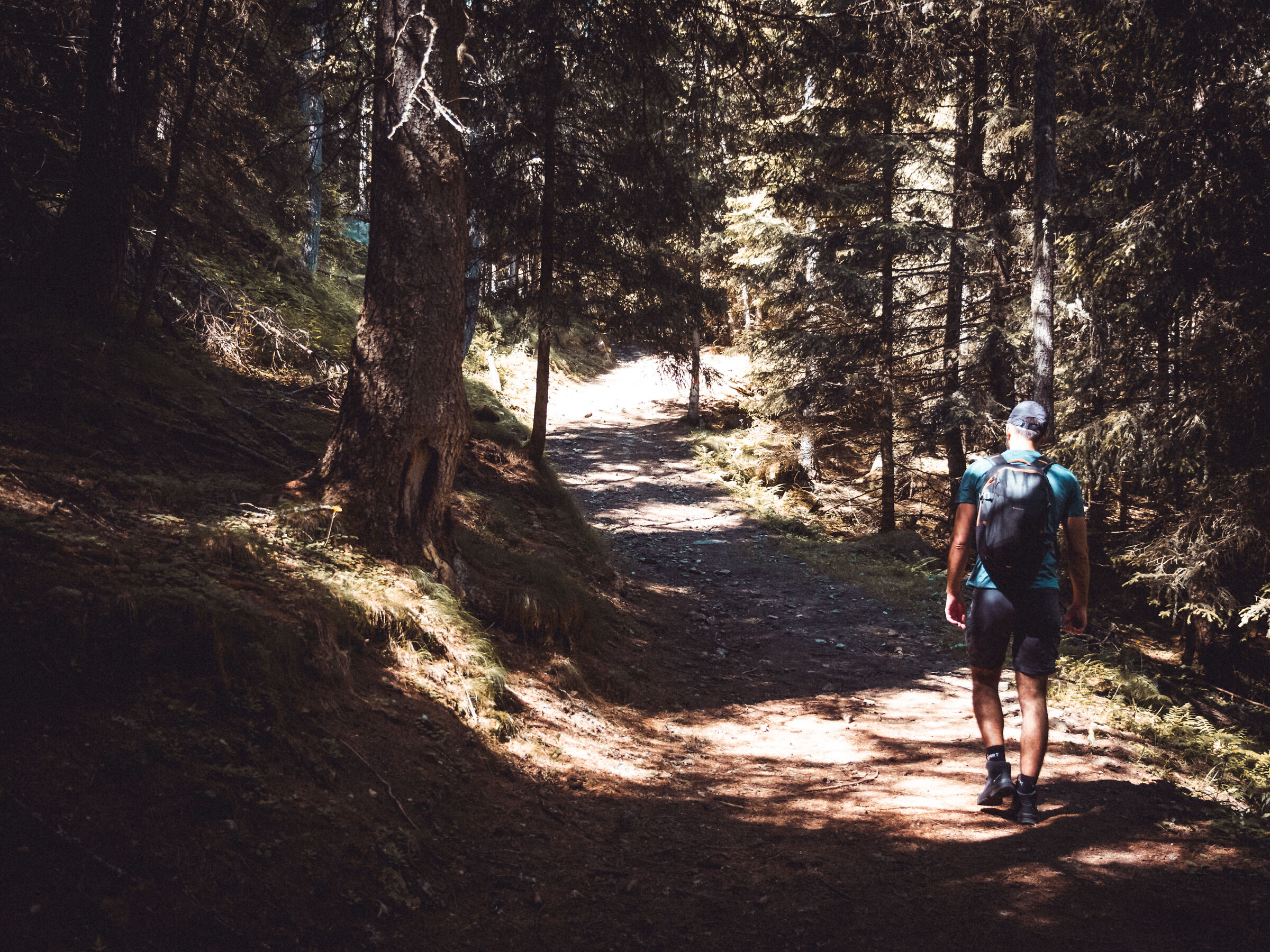 Never leave the forest