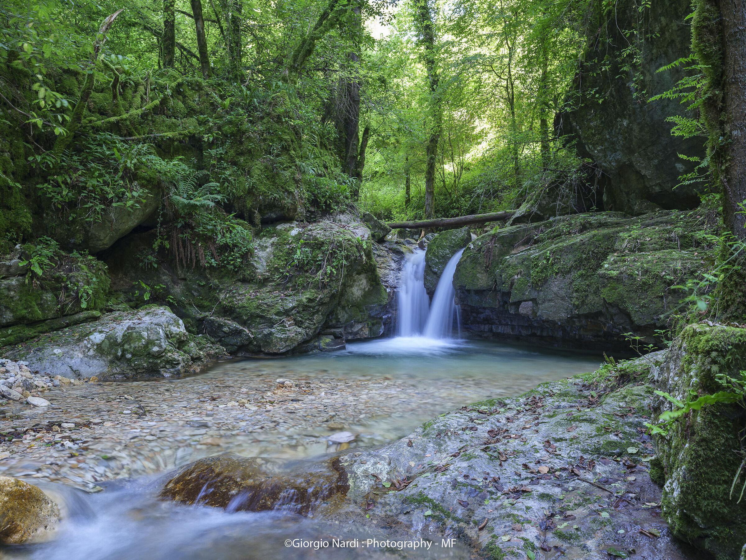 Piccola cascata del Rio Corbiolo