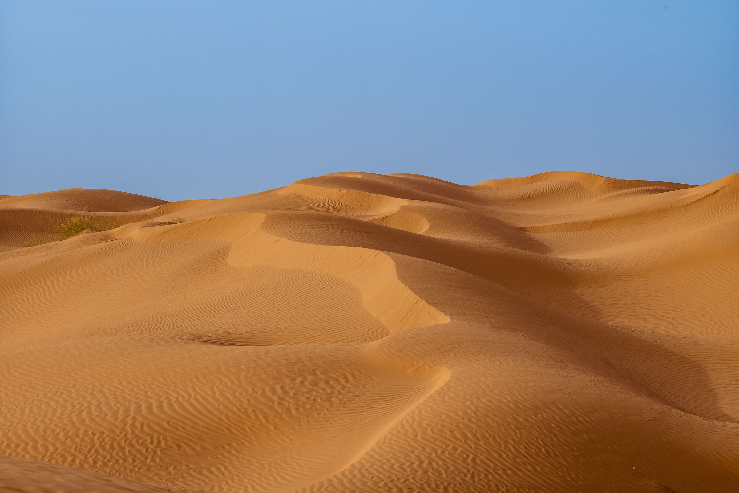 Sahara 1