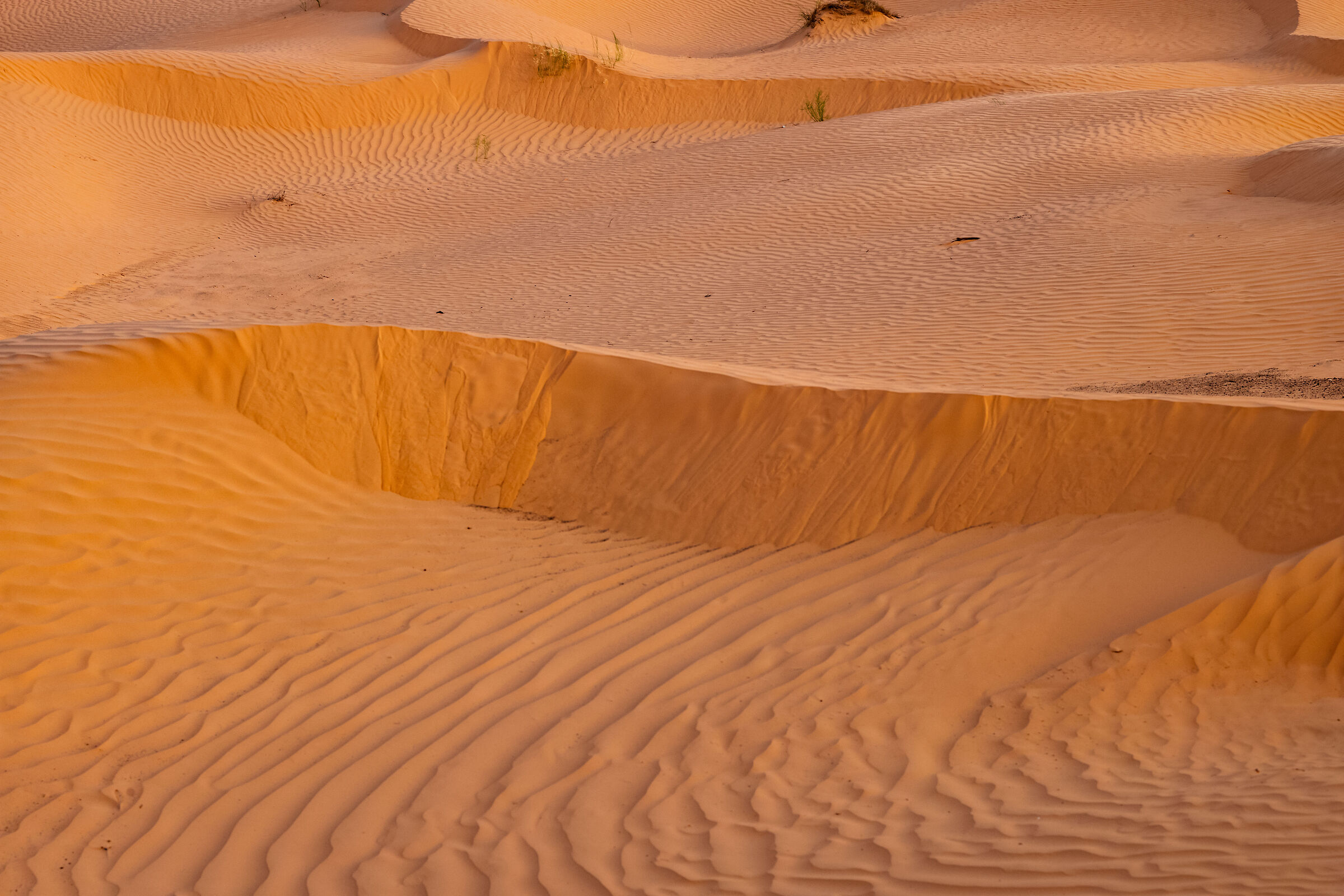 Sahara 2