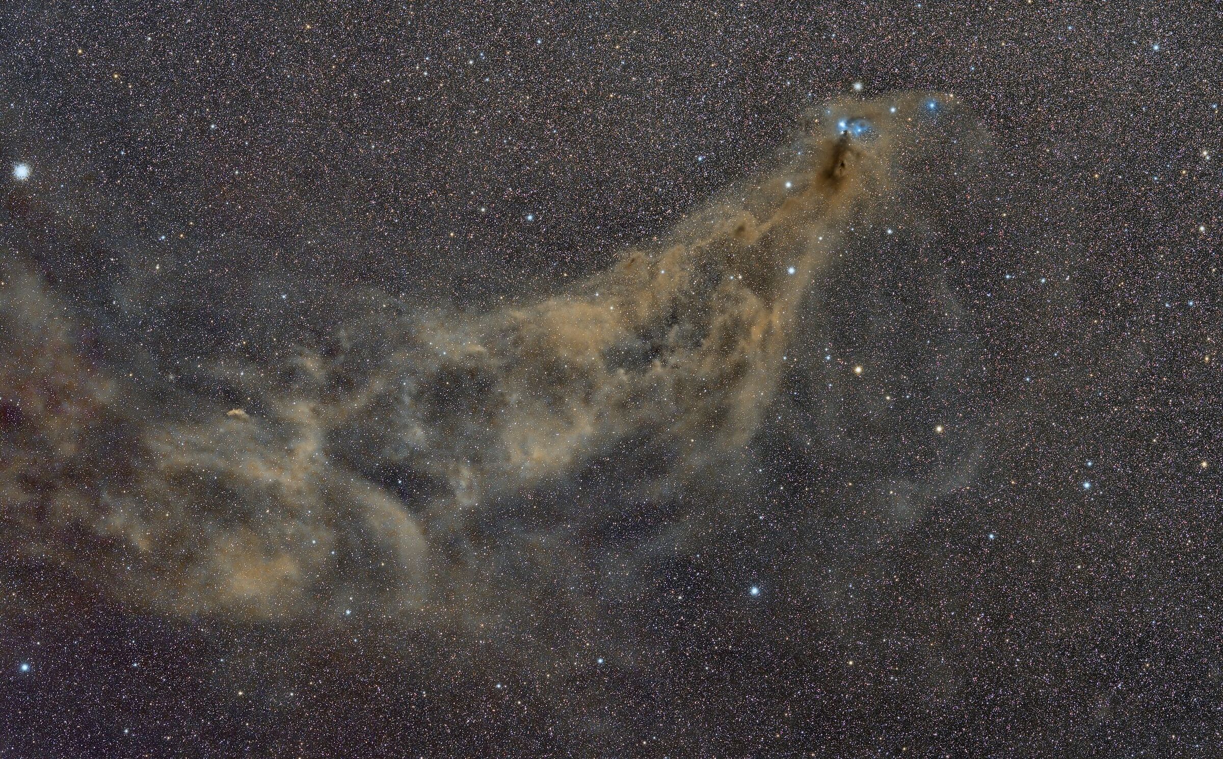 Southern Corona Cloud