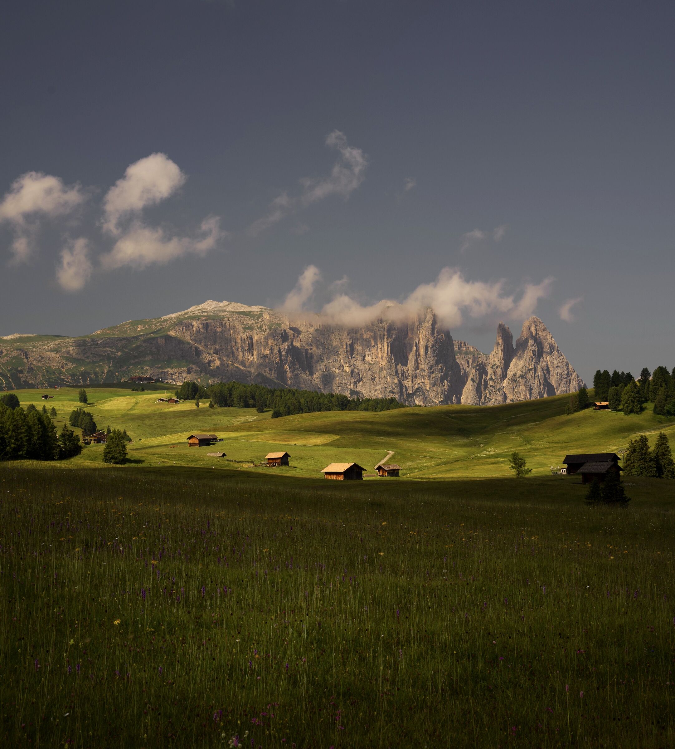 Alpe di Siusi