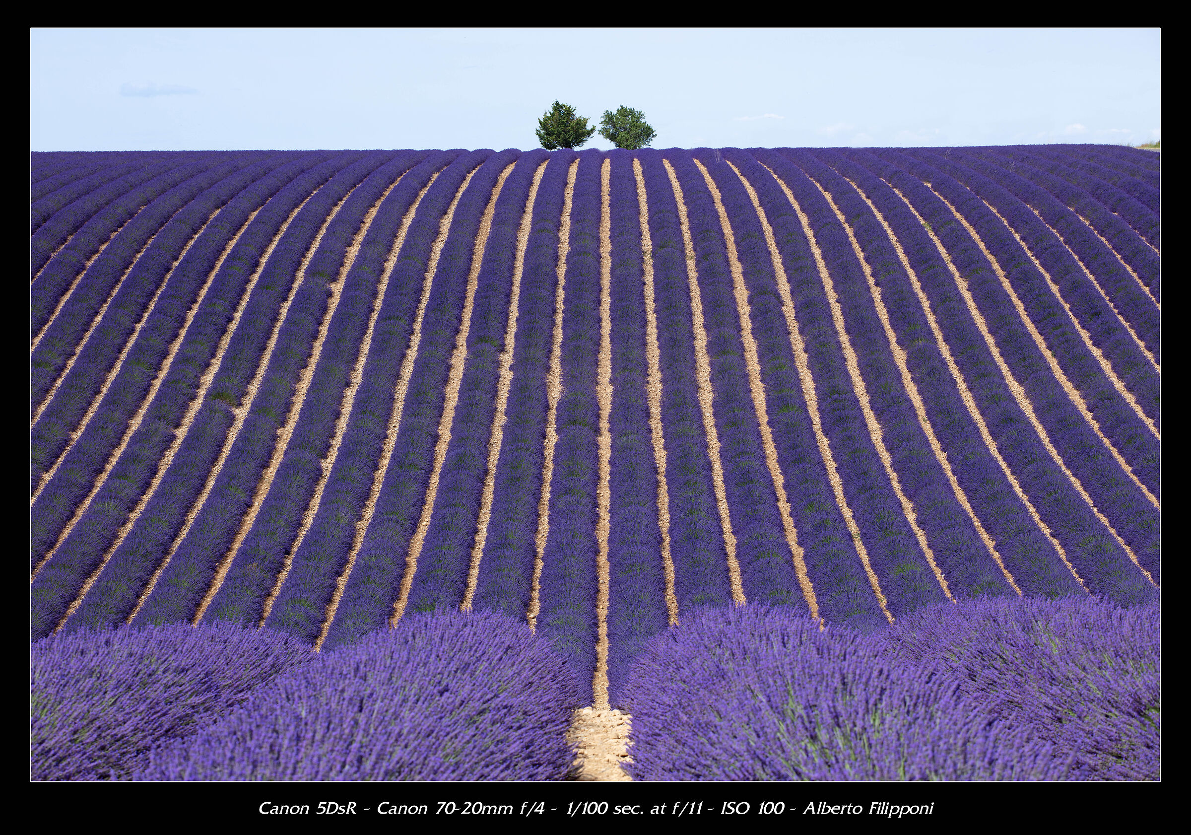 Valensole
