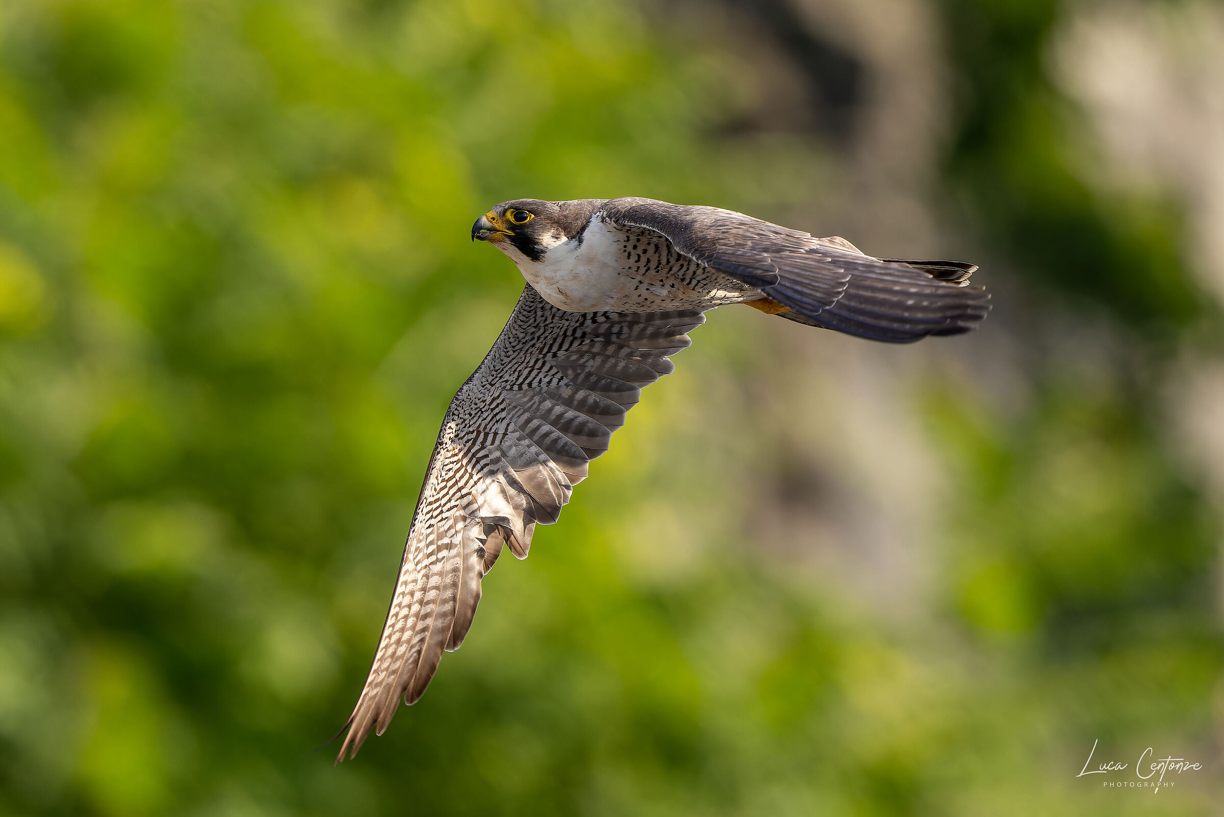 La mamma tiene tutto sotto controllo