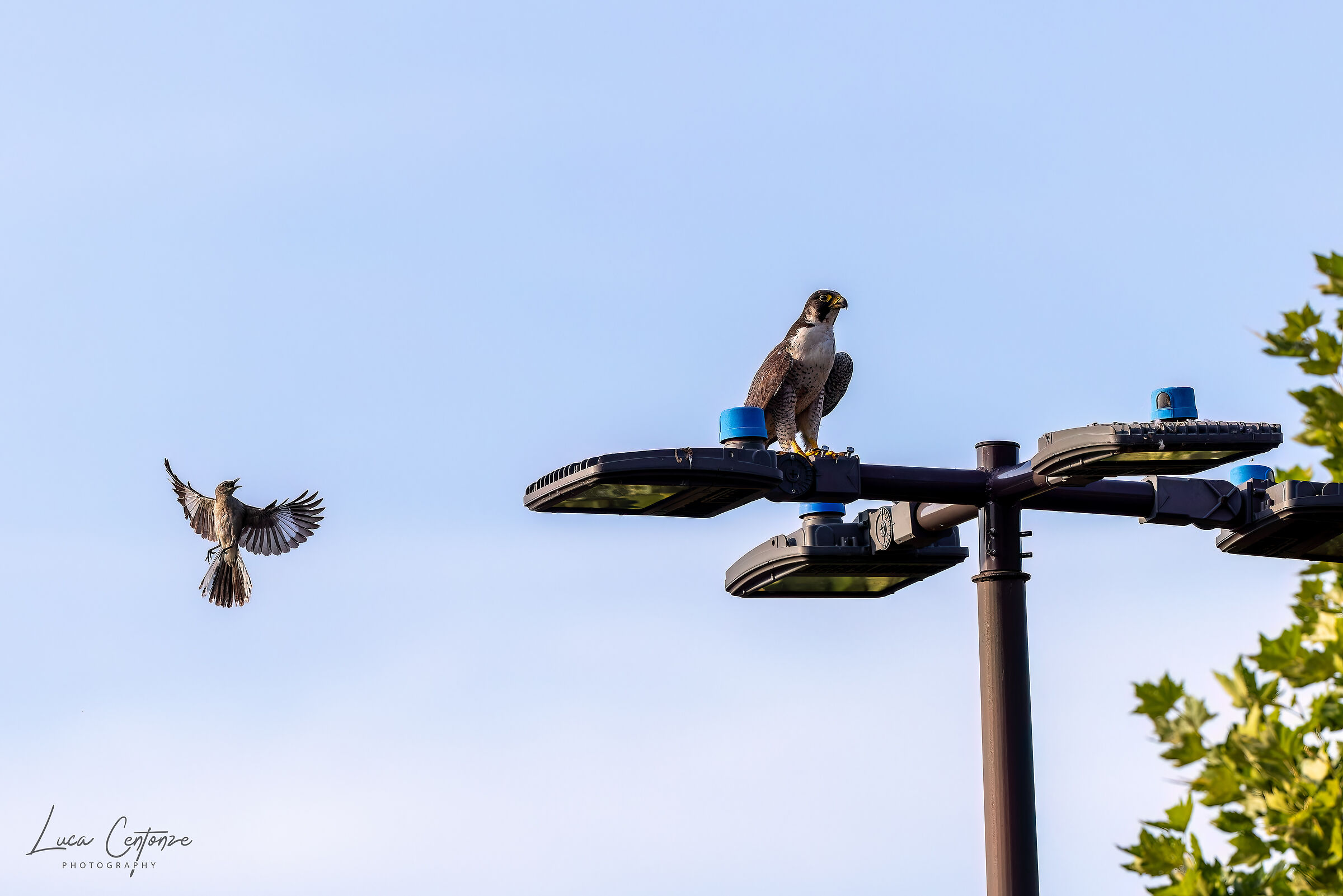 Hey, I'm talking to you!