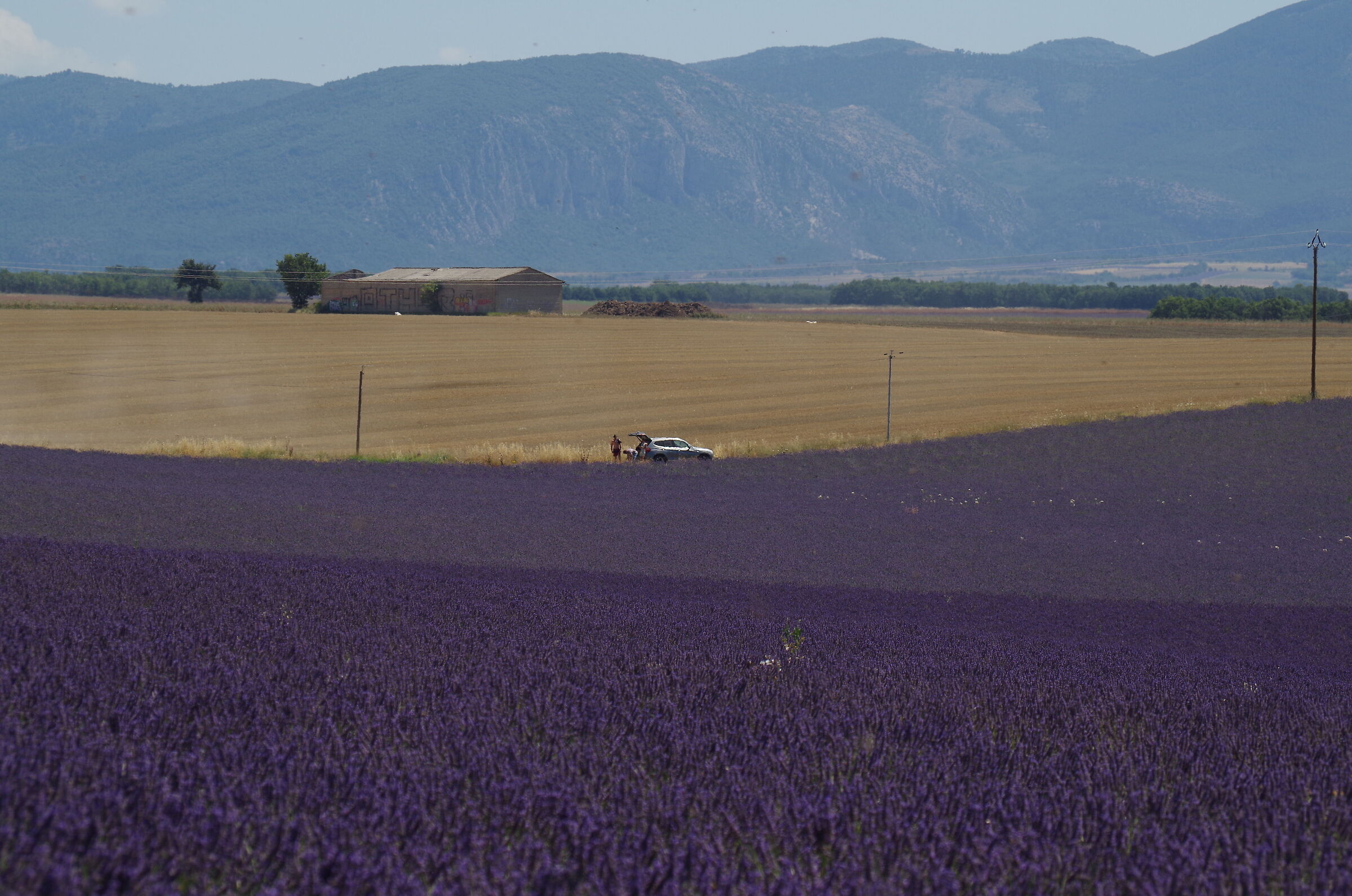 Colors of Provence 2