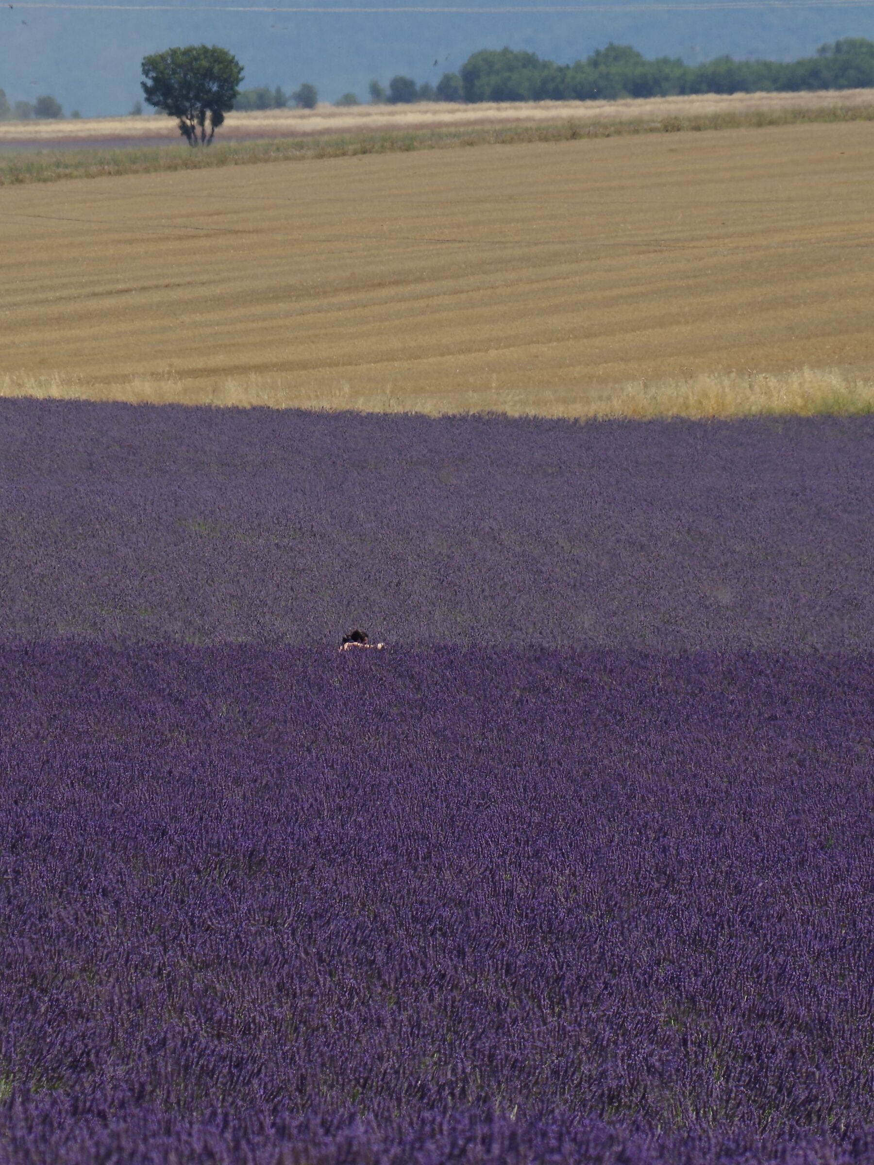 Colori di Provenza 3