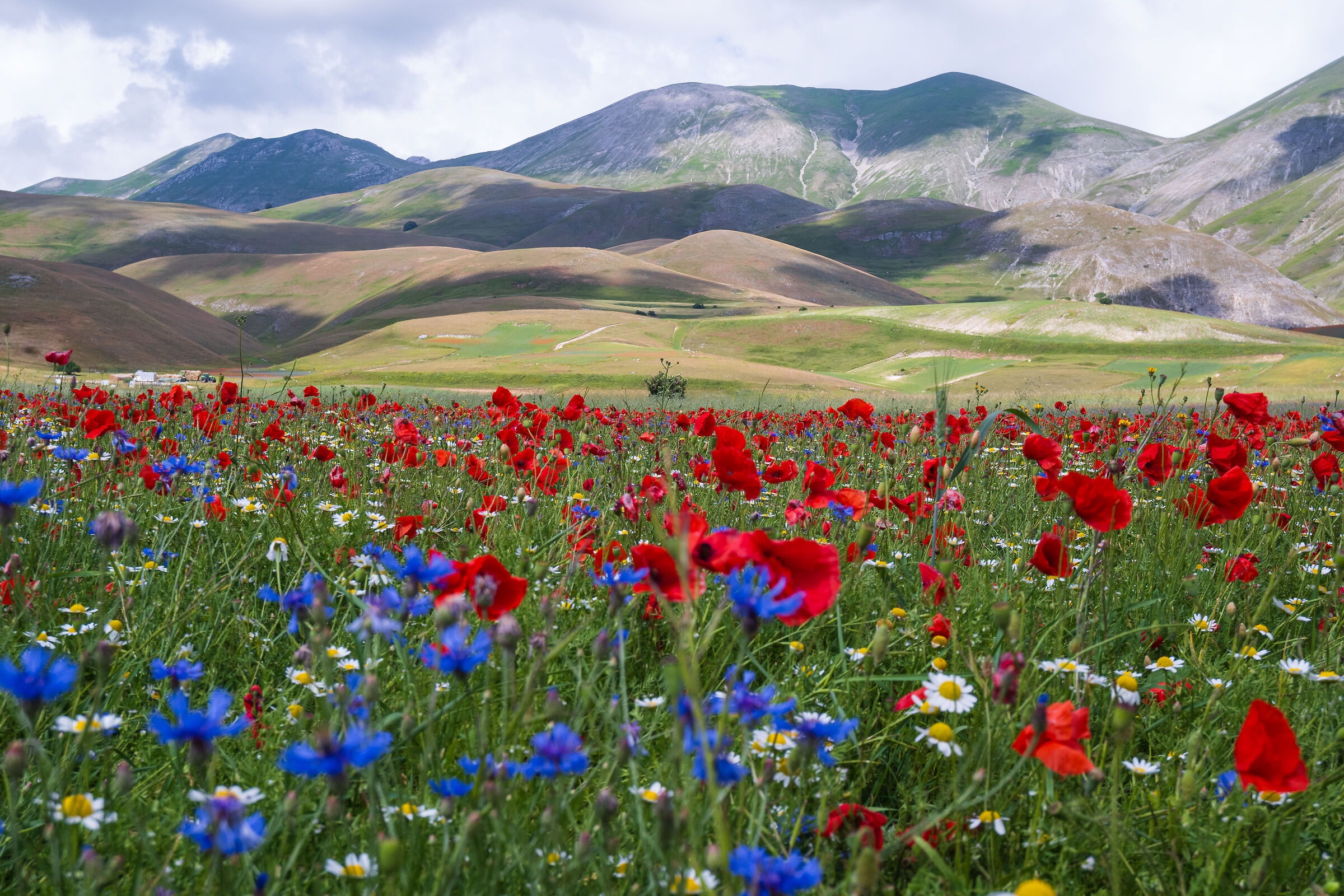 Castelluccio di norcia
