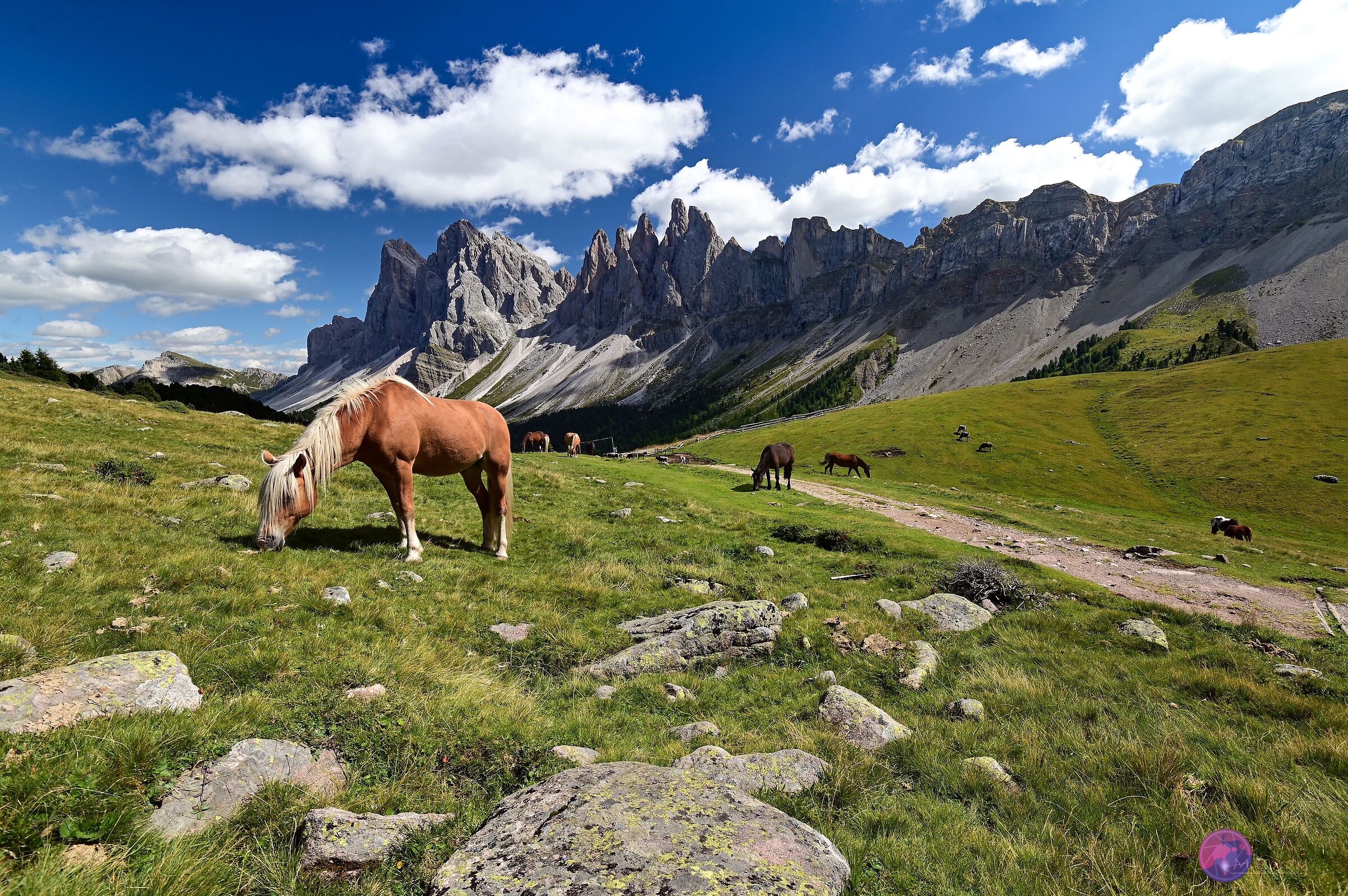 Freedom and paradise