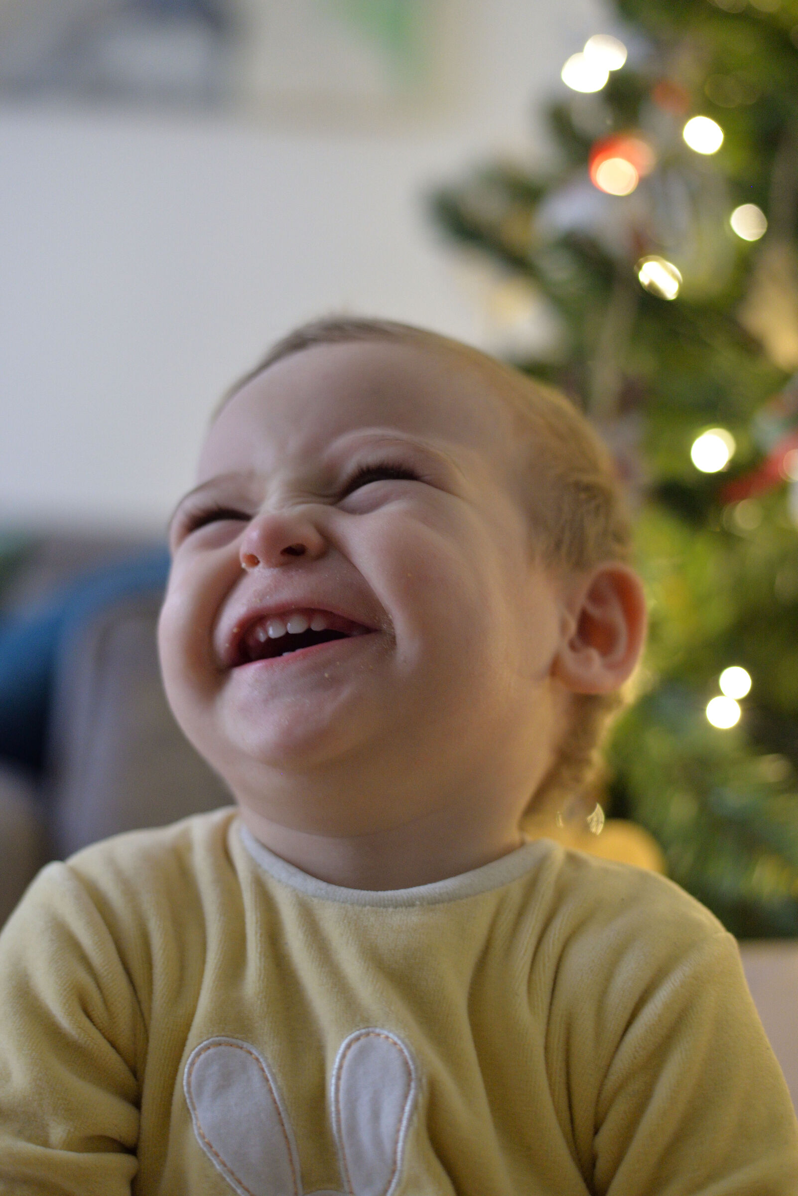 Magic of Christmas