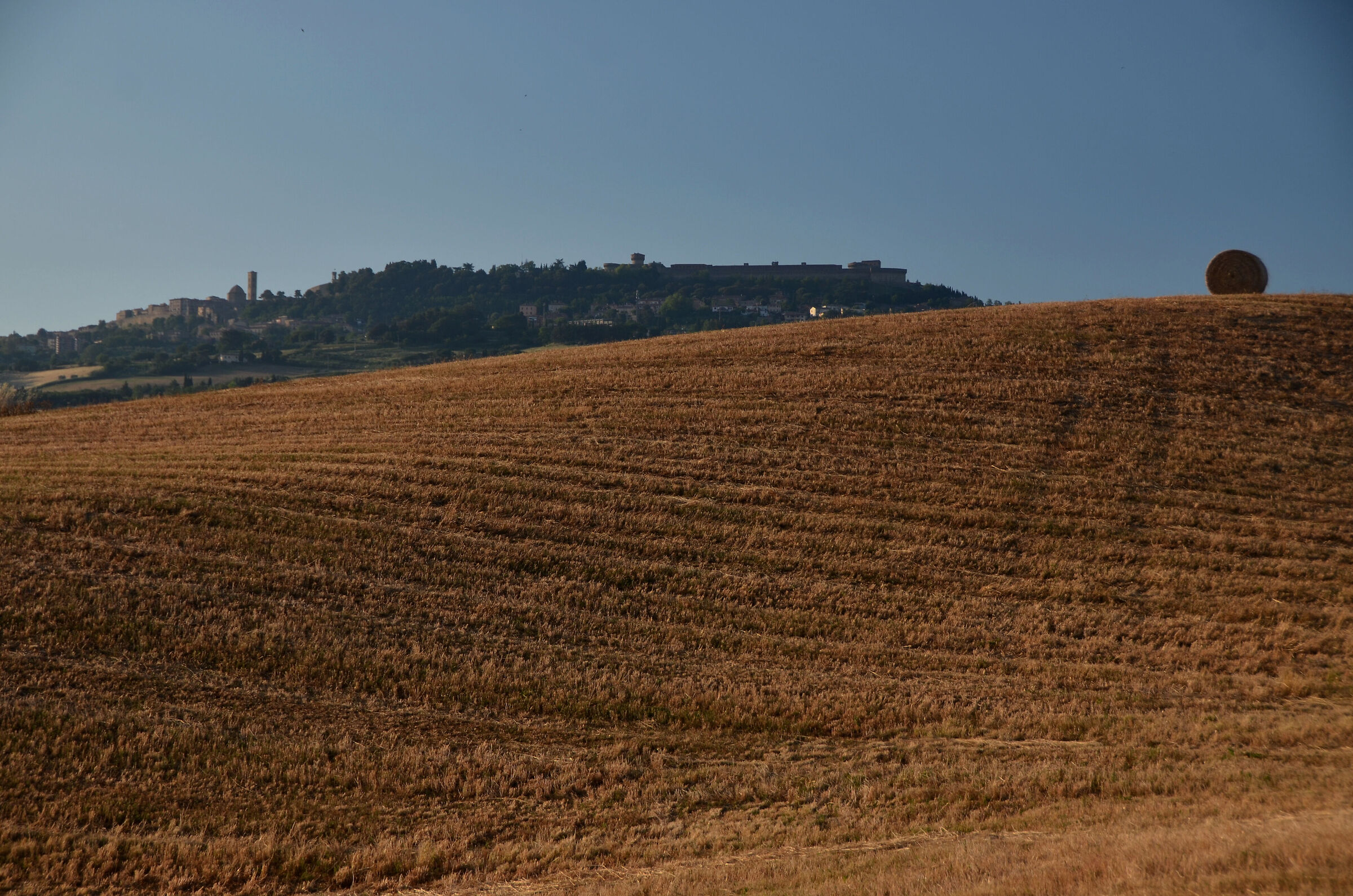 Volterra 02