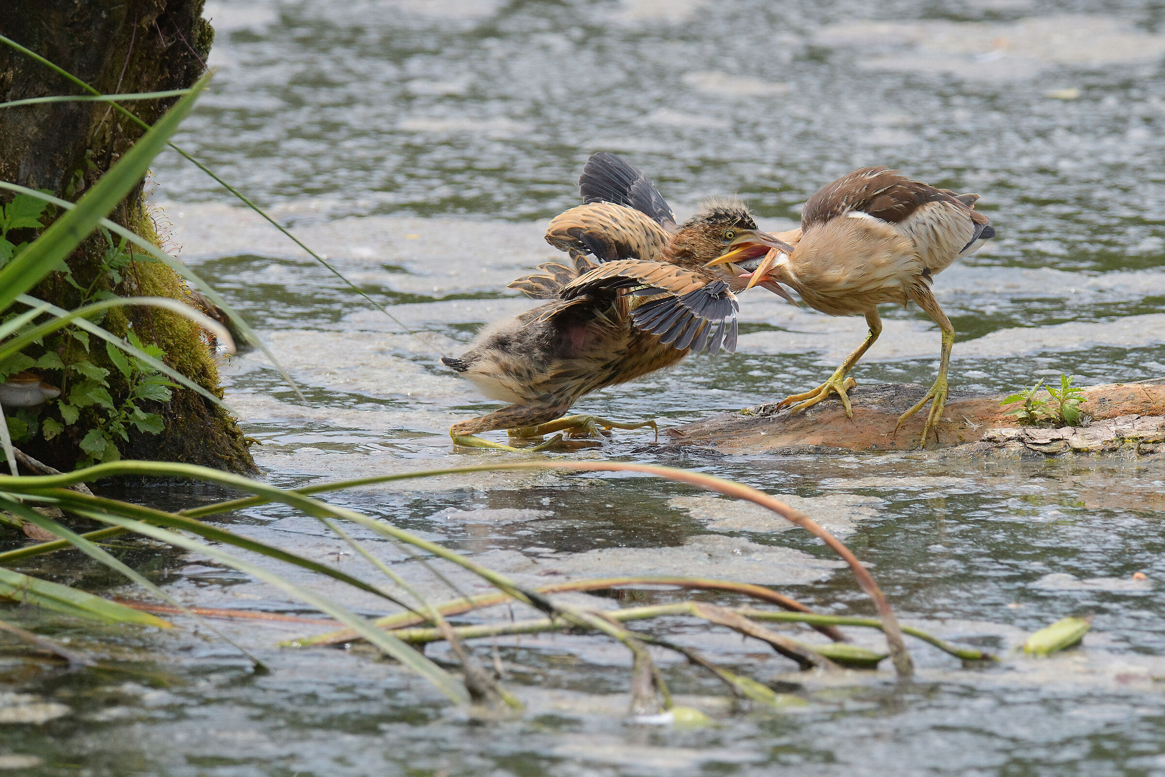 Ecco, questo è per te ...