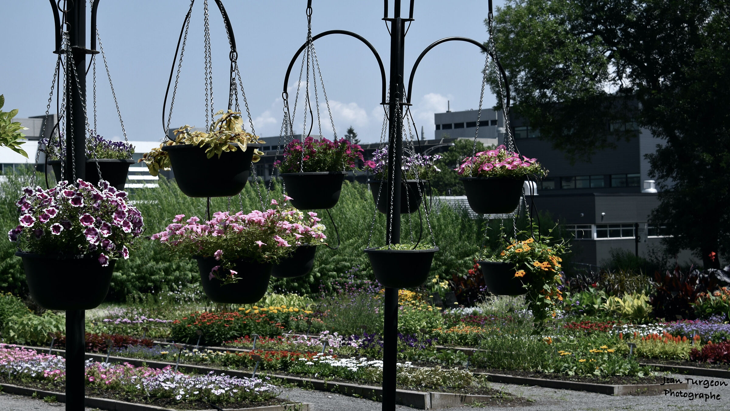 Garden Van Den Hende - Québec (città)