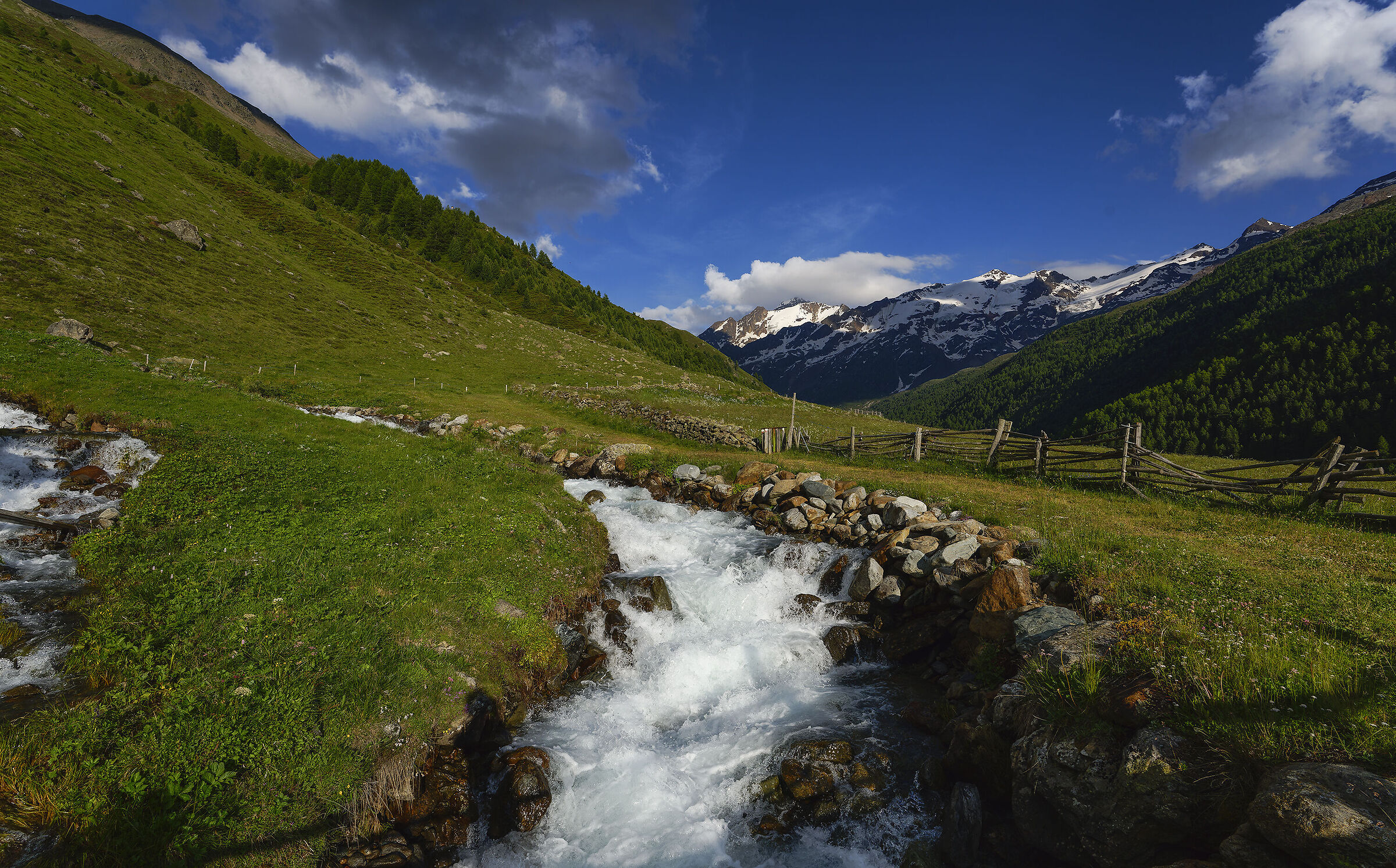 Alpi , un pò di frescura