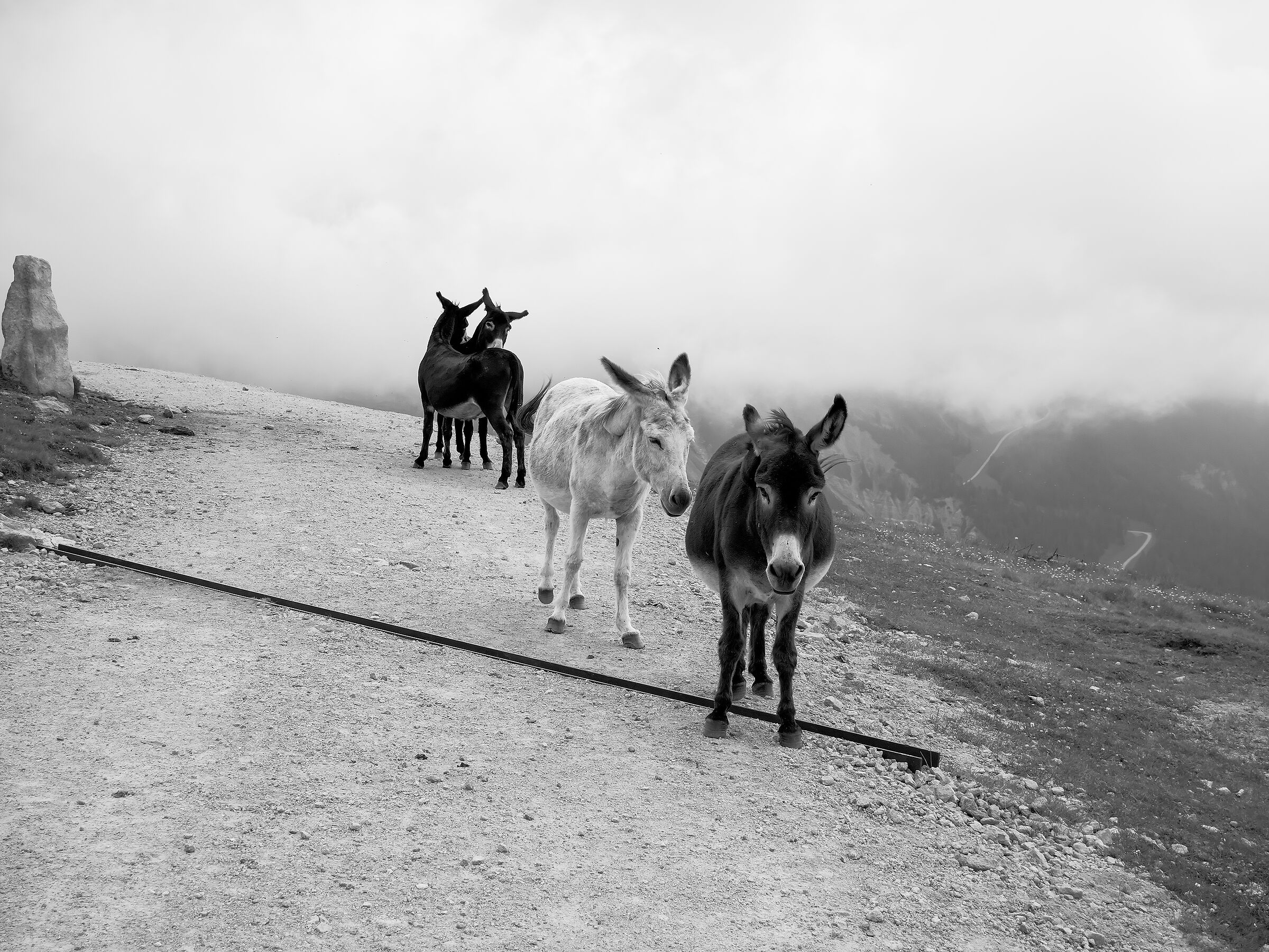 Climb the mountains to find the best part of yourself.