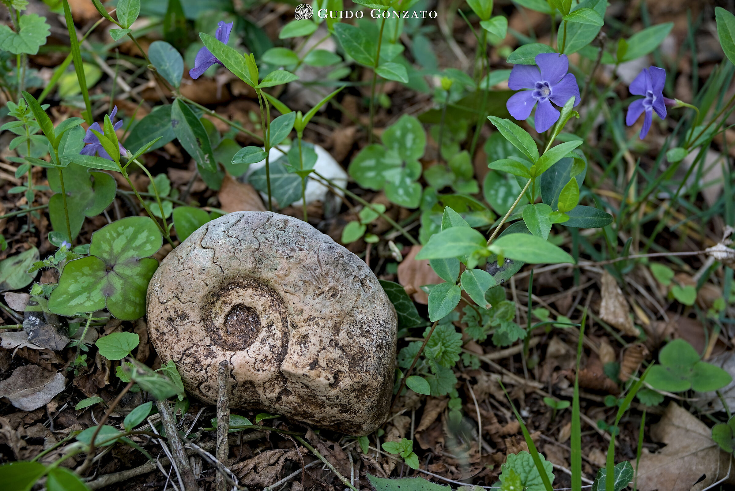 Life of yesterday and today