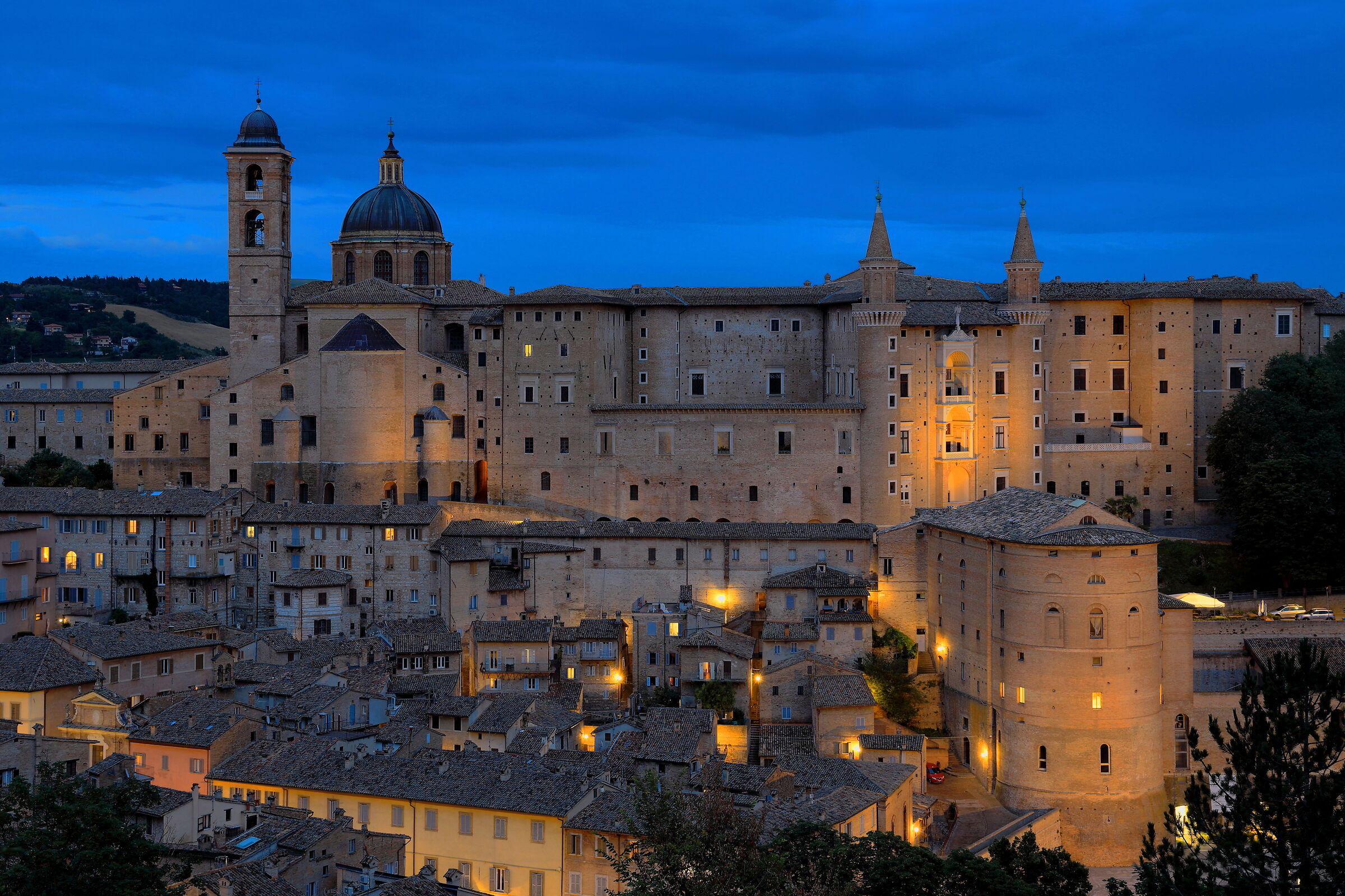 Urbino