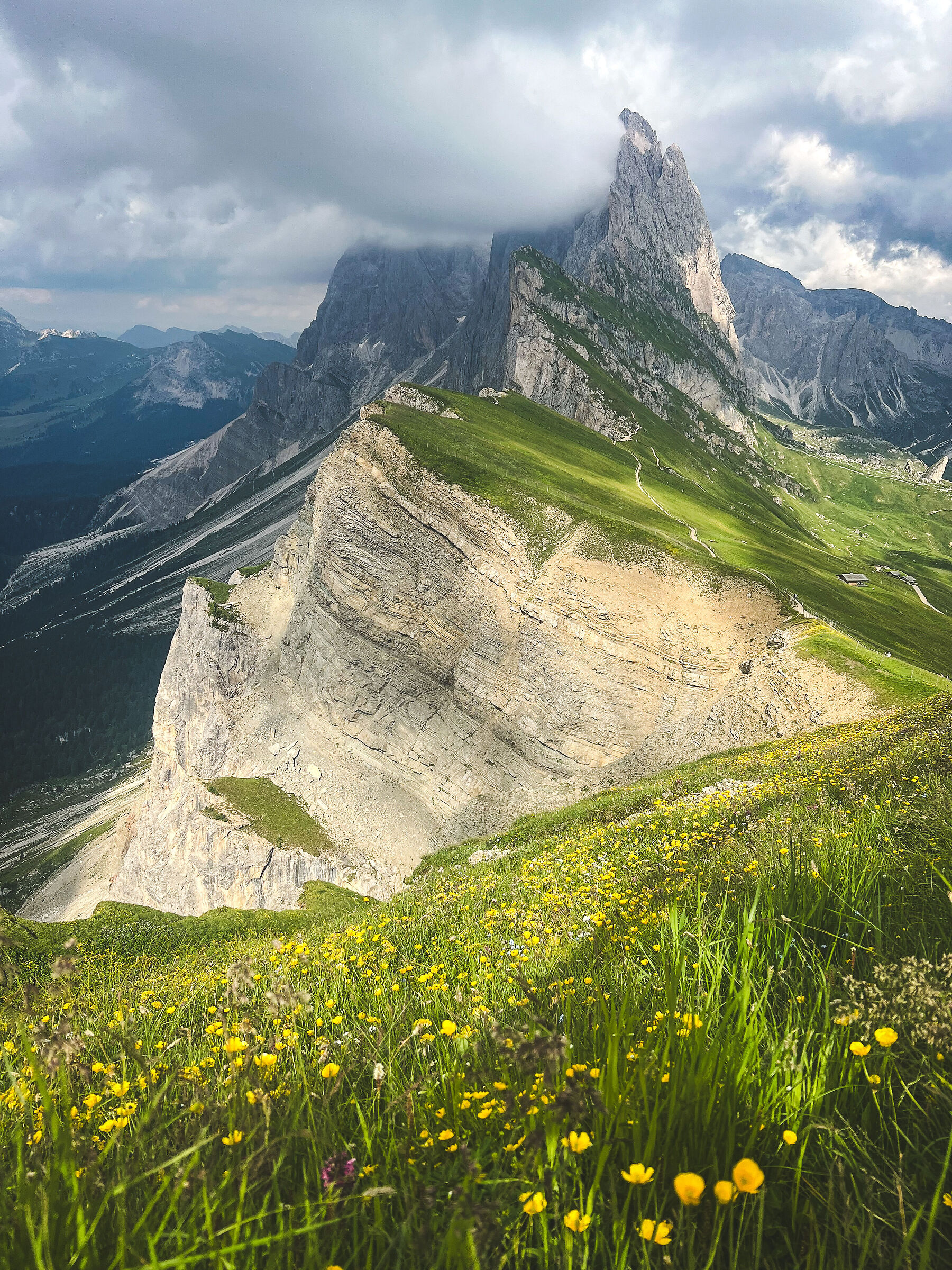 I colori dell'estate sulla cima